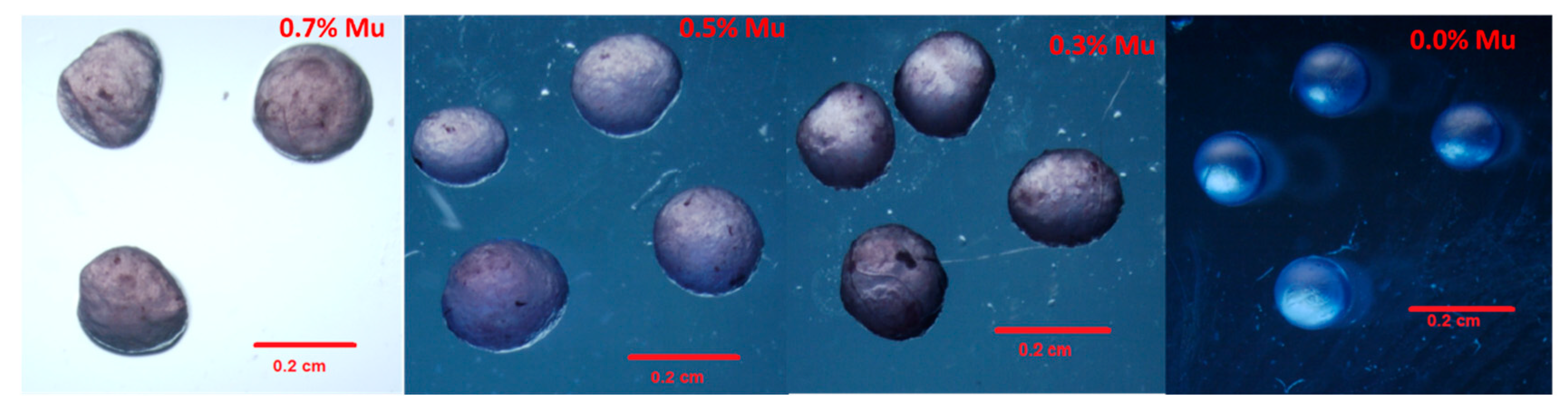 Applsci 13 01213 g002