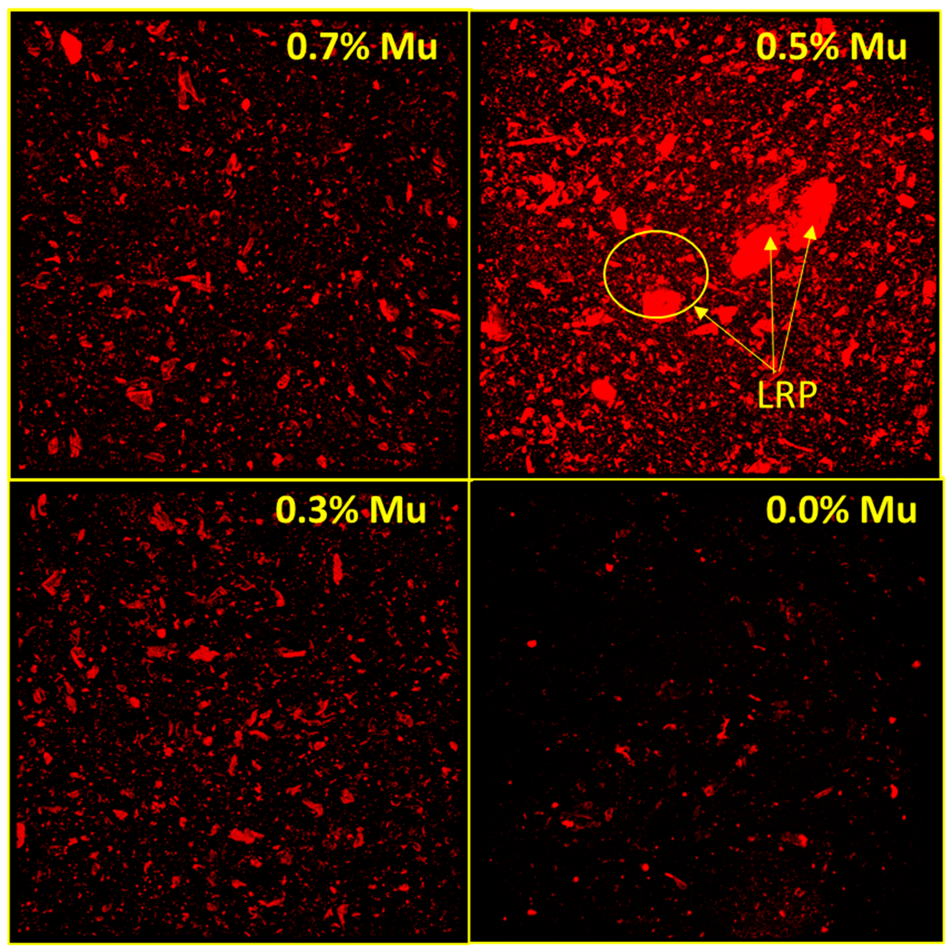 Applsci 13 01213 g004