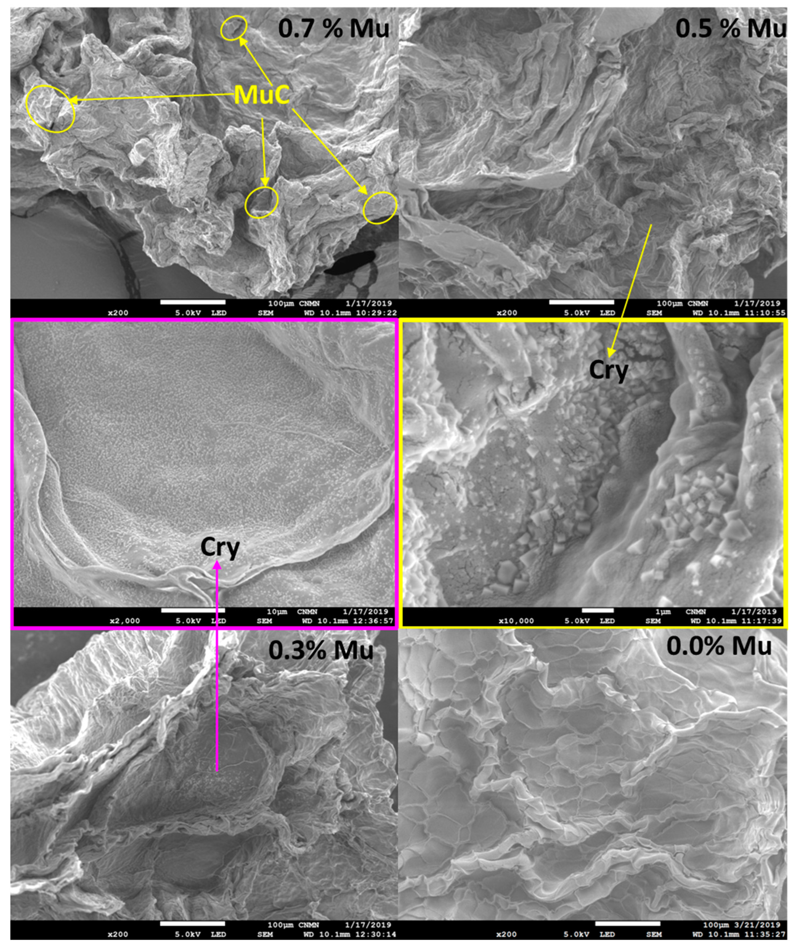 Applsci 13 01213 g005