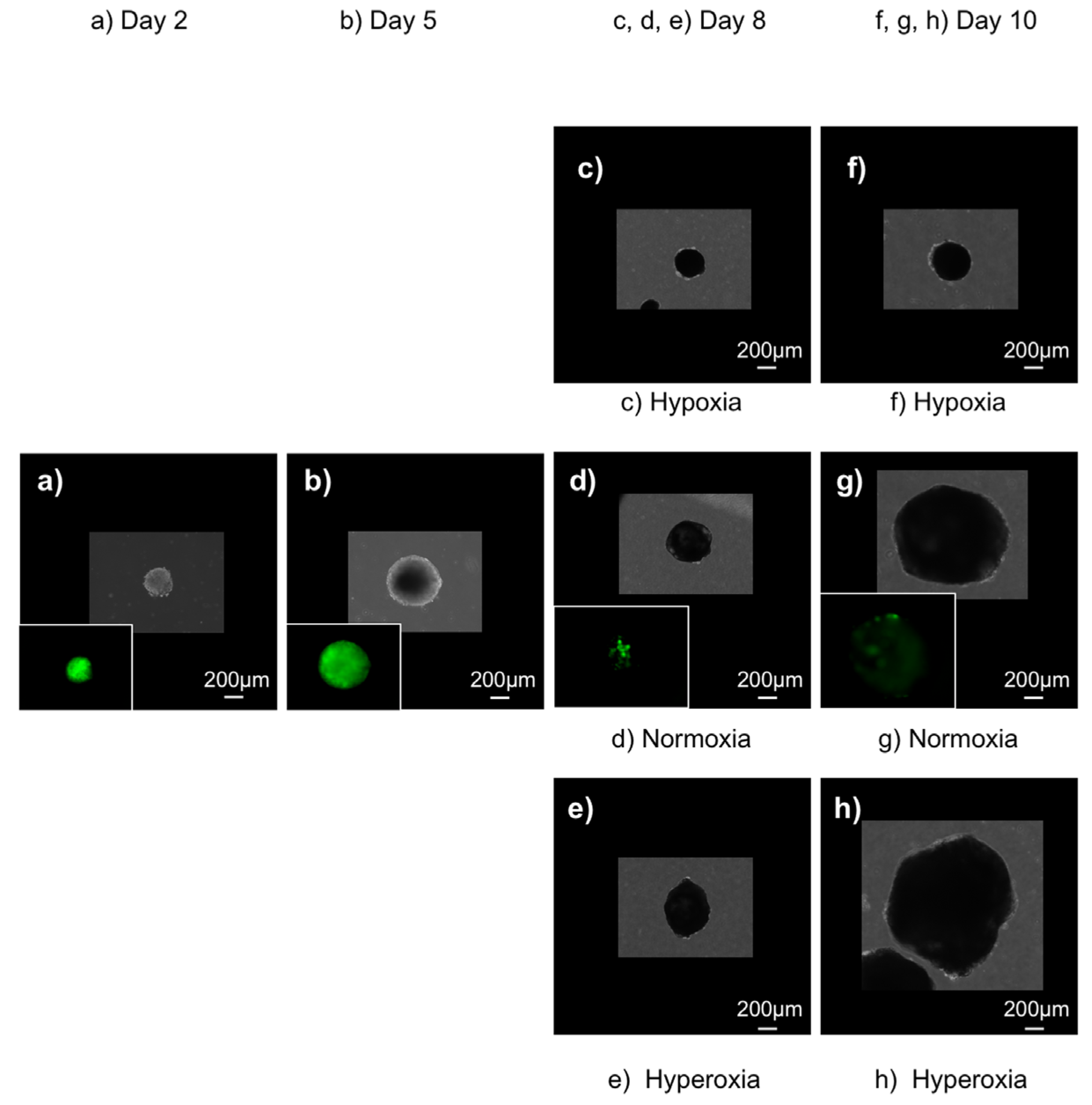 Applsci 13 01215 g002