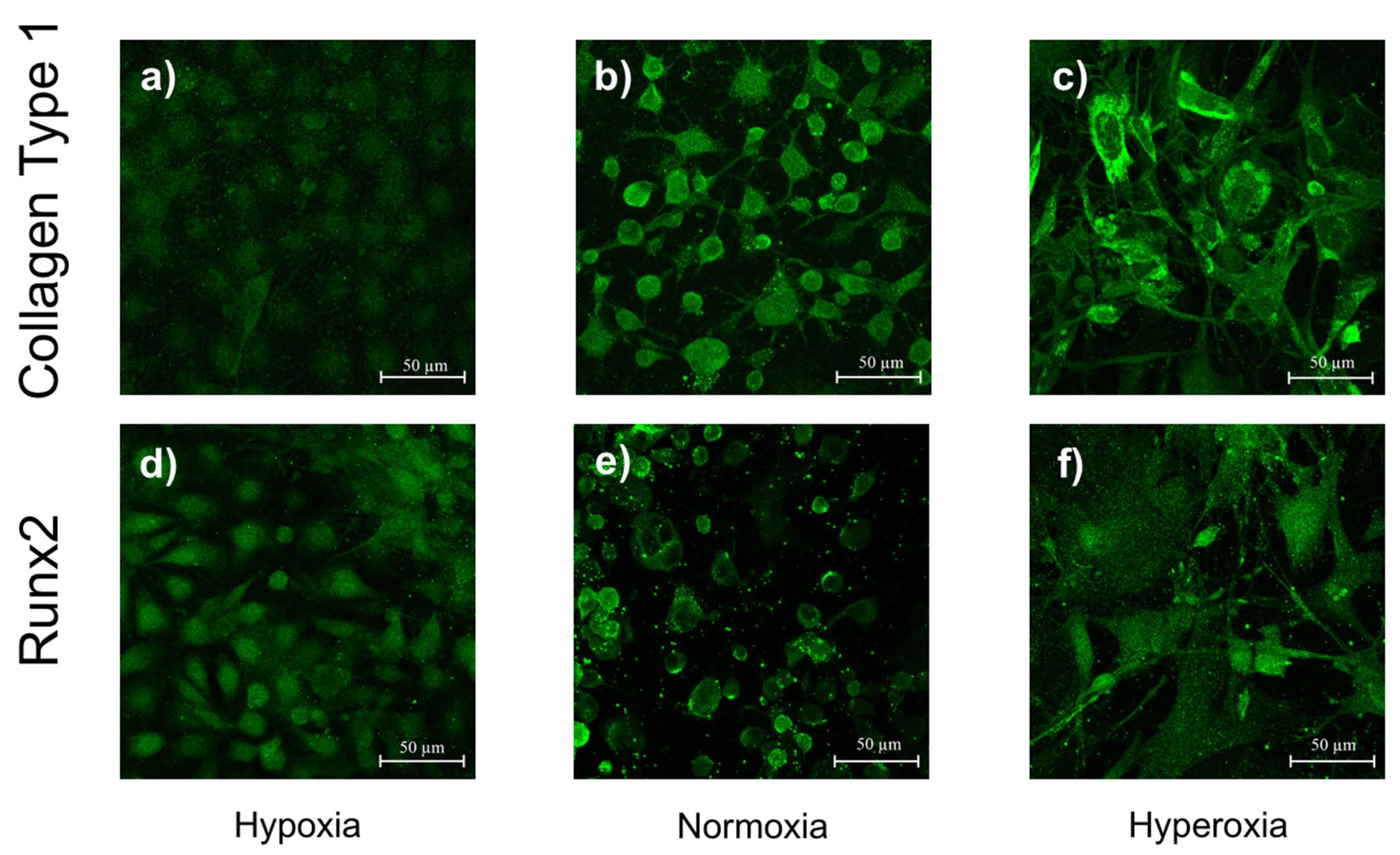 Applsci 13 01215 g008