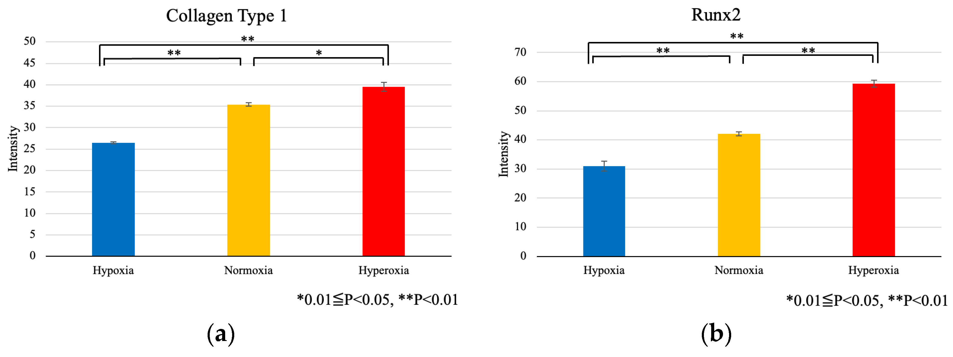 Applsci 13 01215 g009
