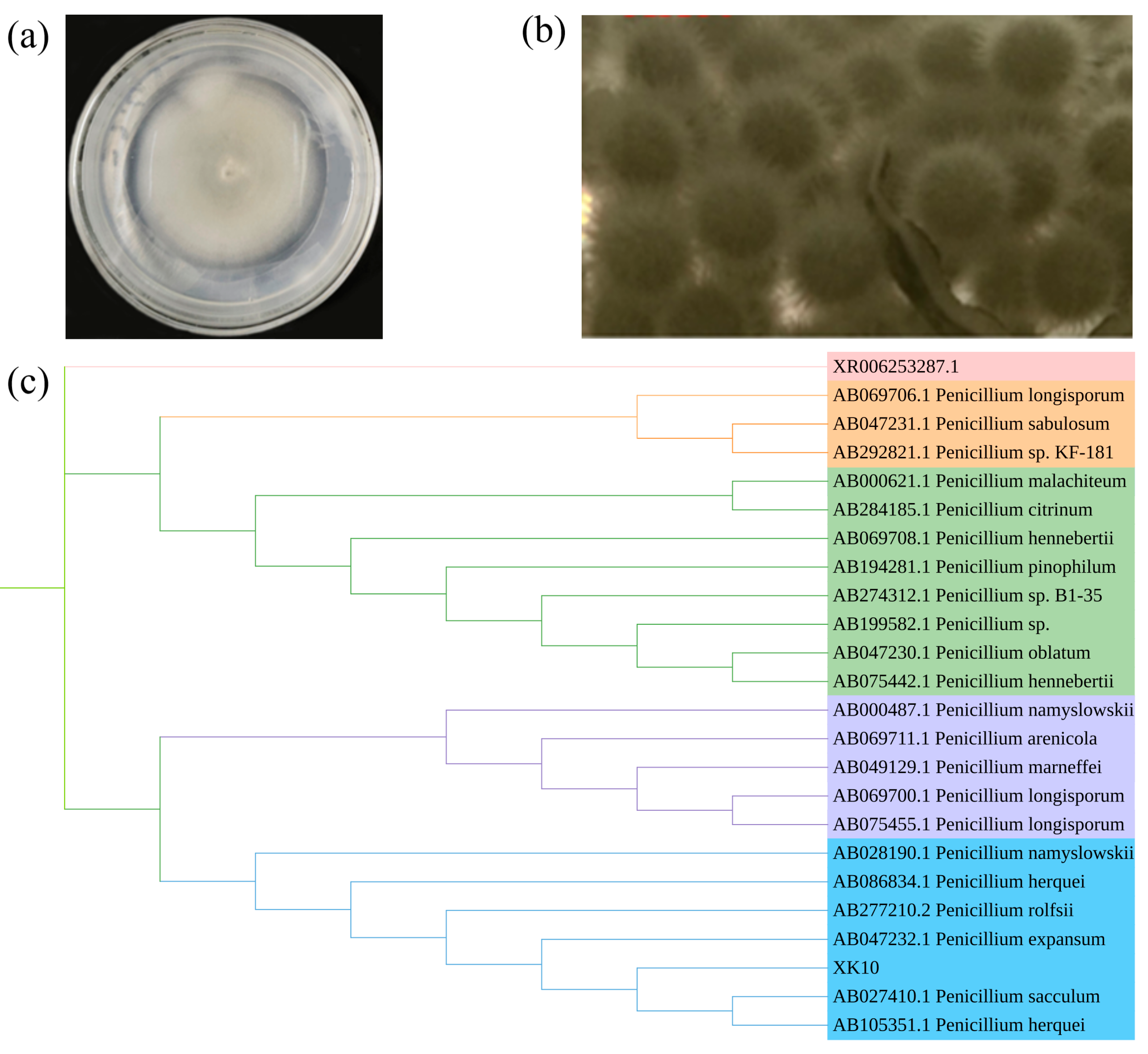 Applsci 13 01228 g002