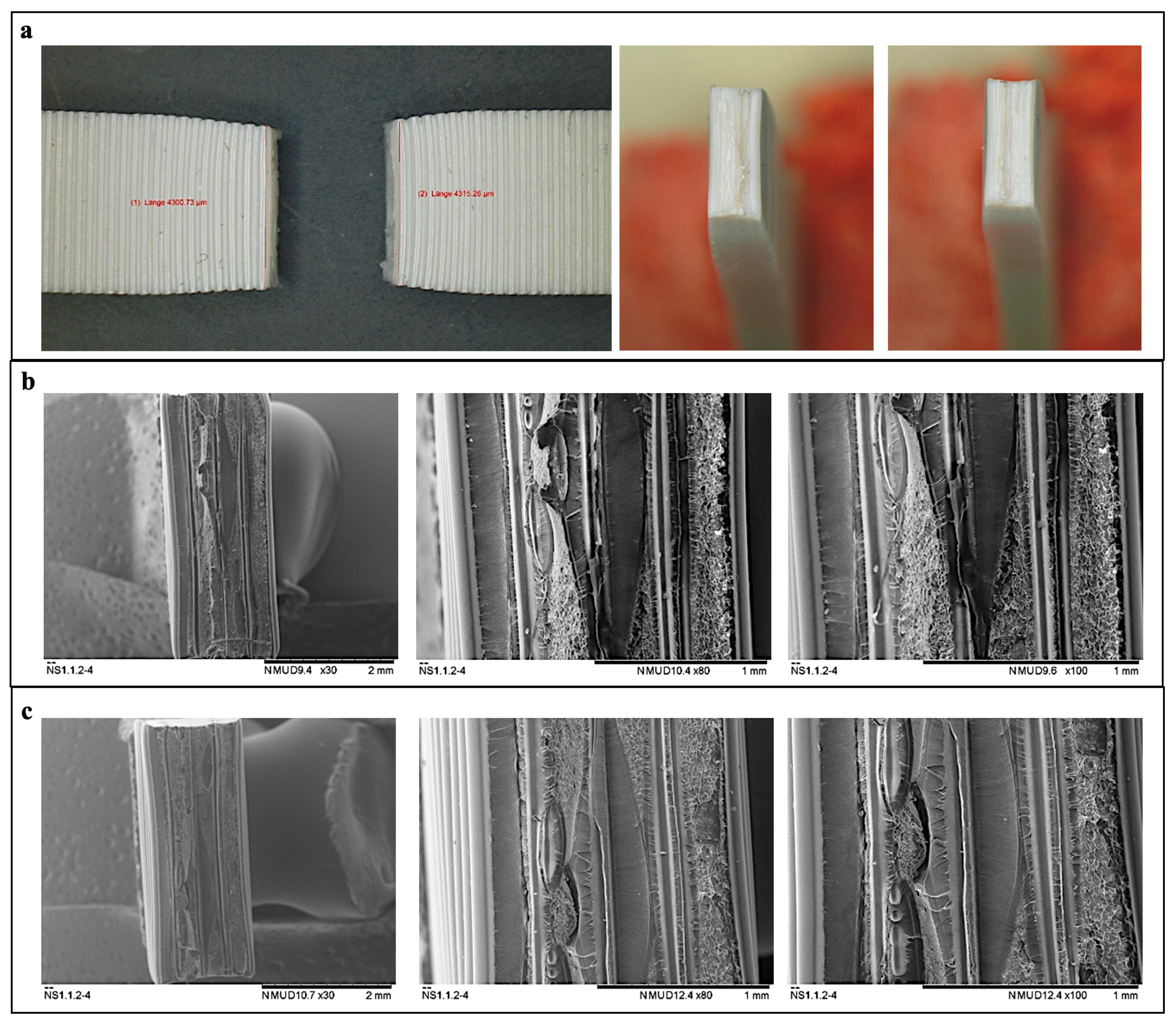 Applsci 13 01230 g009