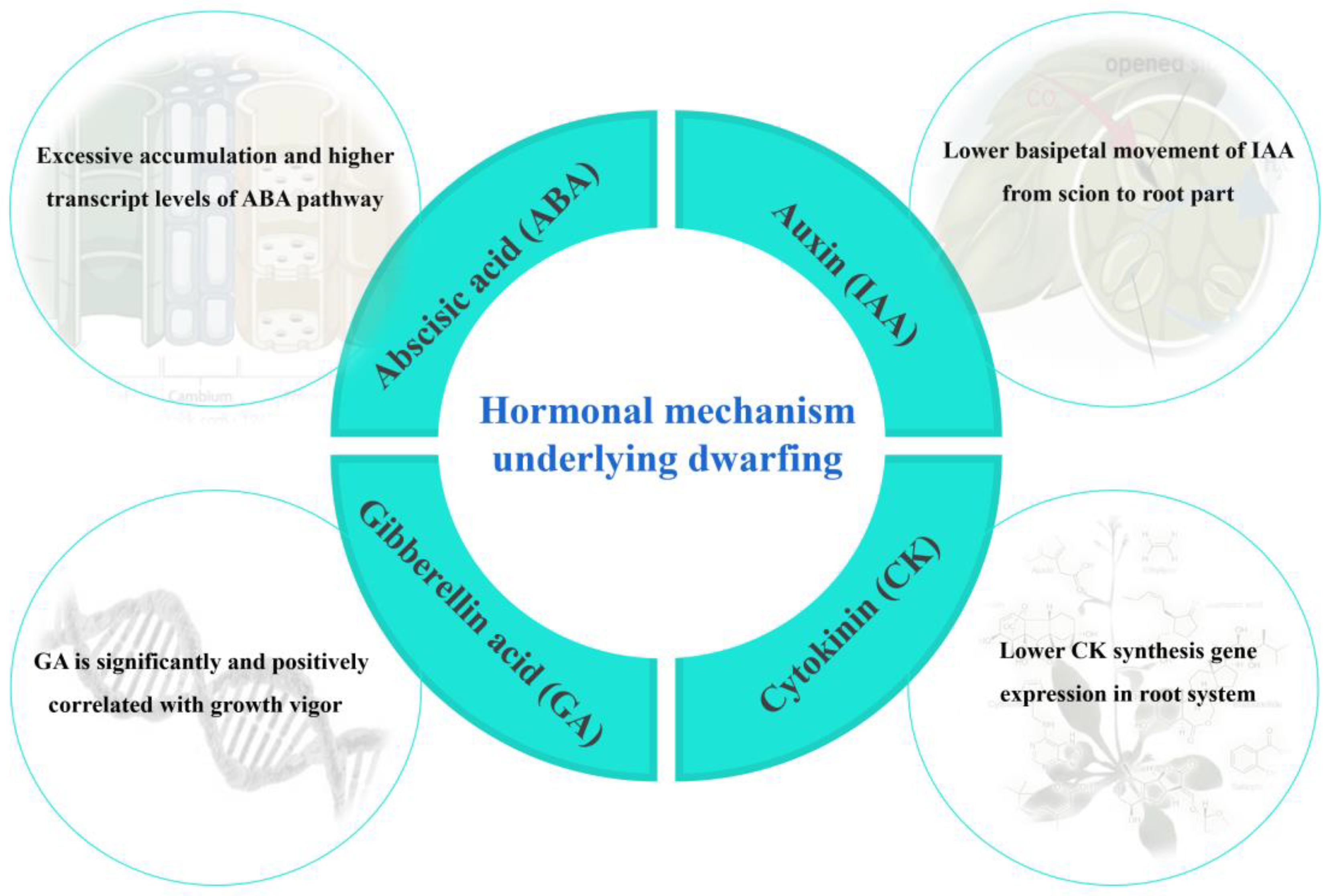 Applsci 13 01237 g001