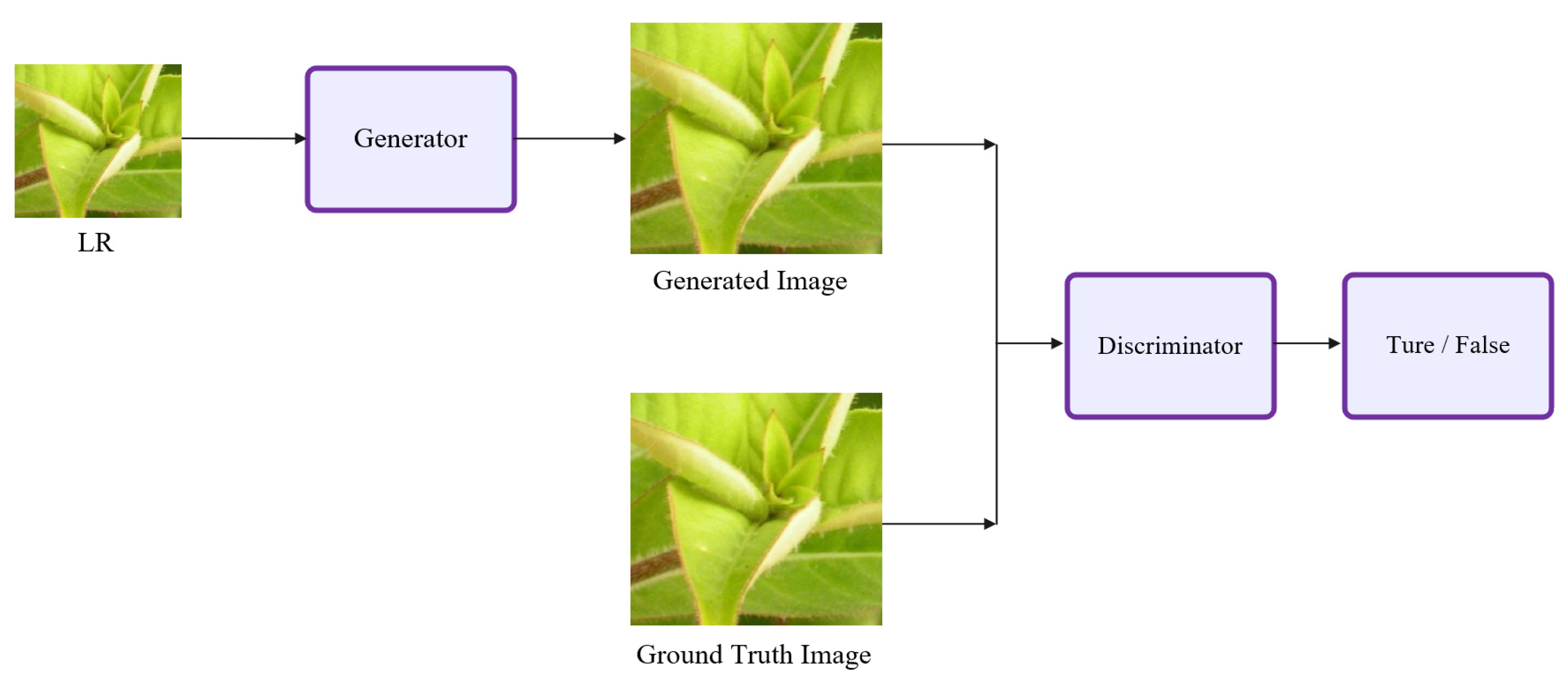 Applsci 13 01245 g001