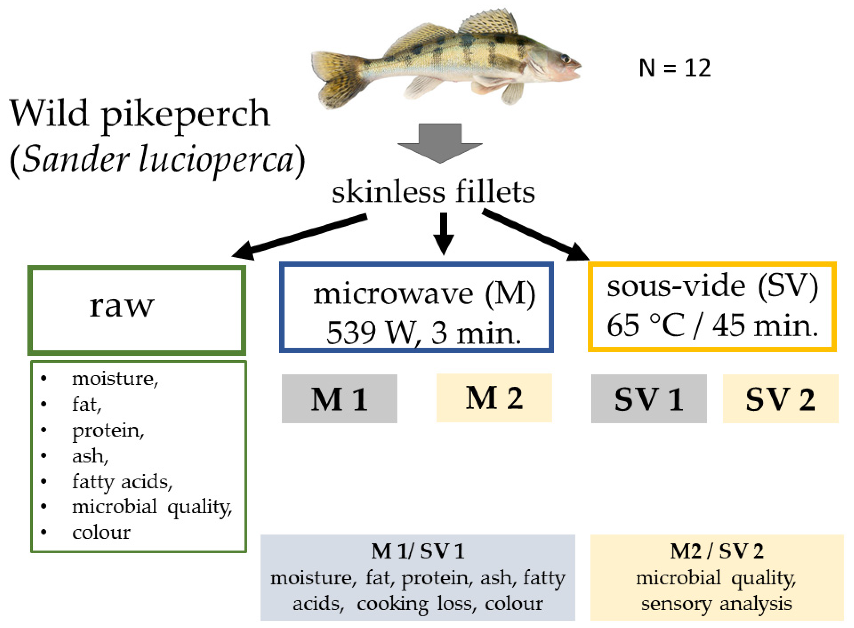 Applsci 13 01253 g001 Applsci 13 01253 g001