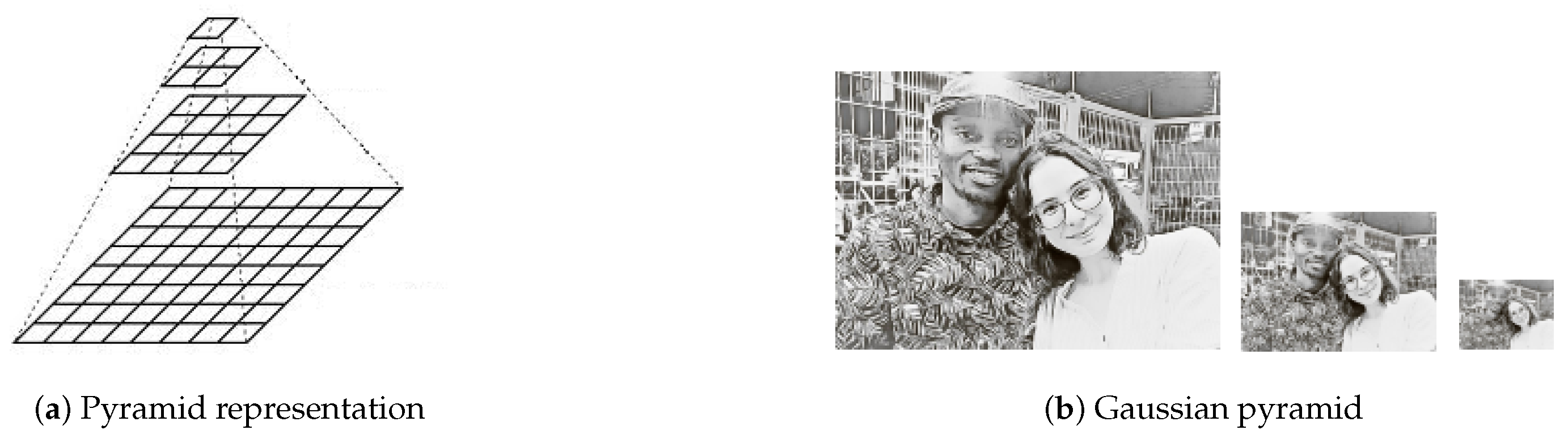 Applsci 13 01291 g001