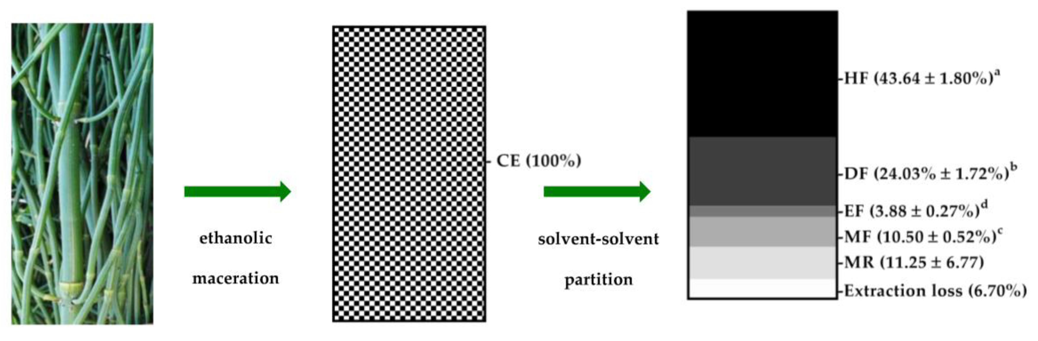 Applsci 13 01336 g003