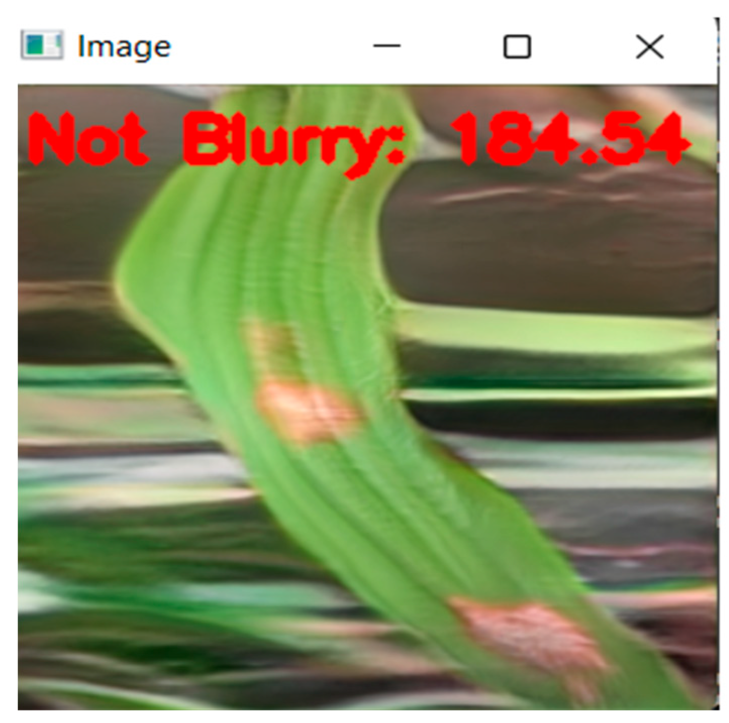 Applsci 13 01346 g002 Applsci 13 01346 g002