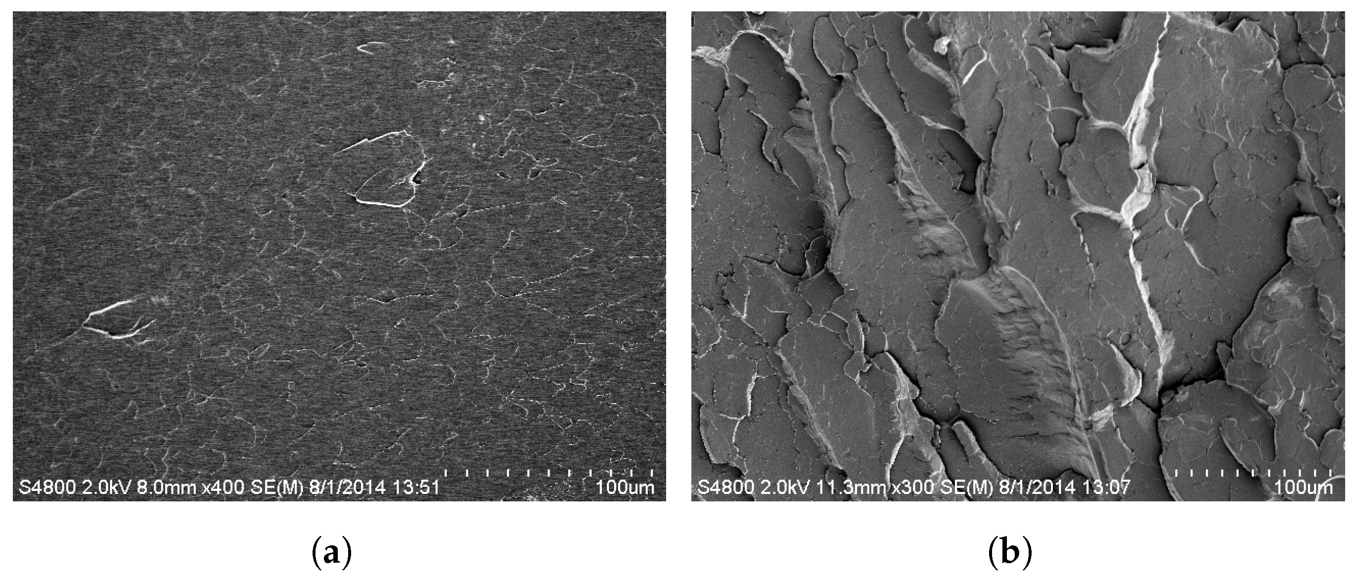 Applsci 13 01401 g008