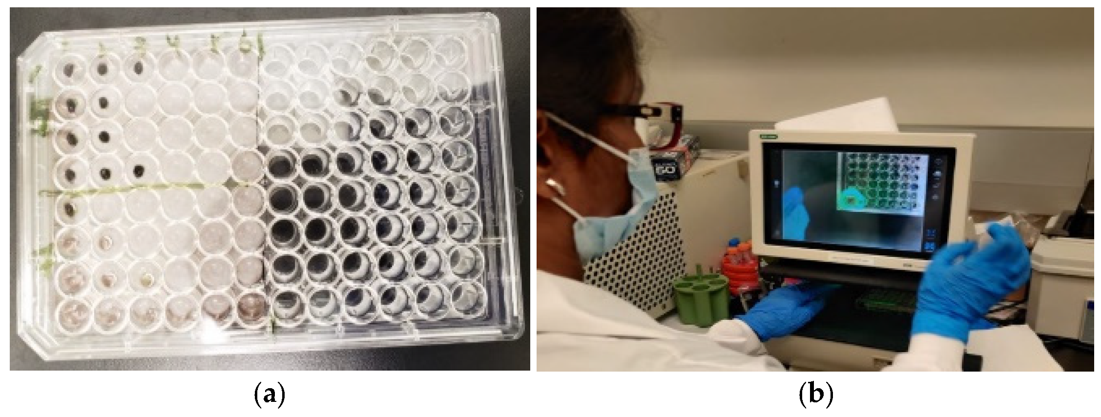 Applsci 13 01426 g004