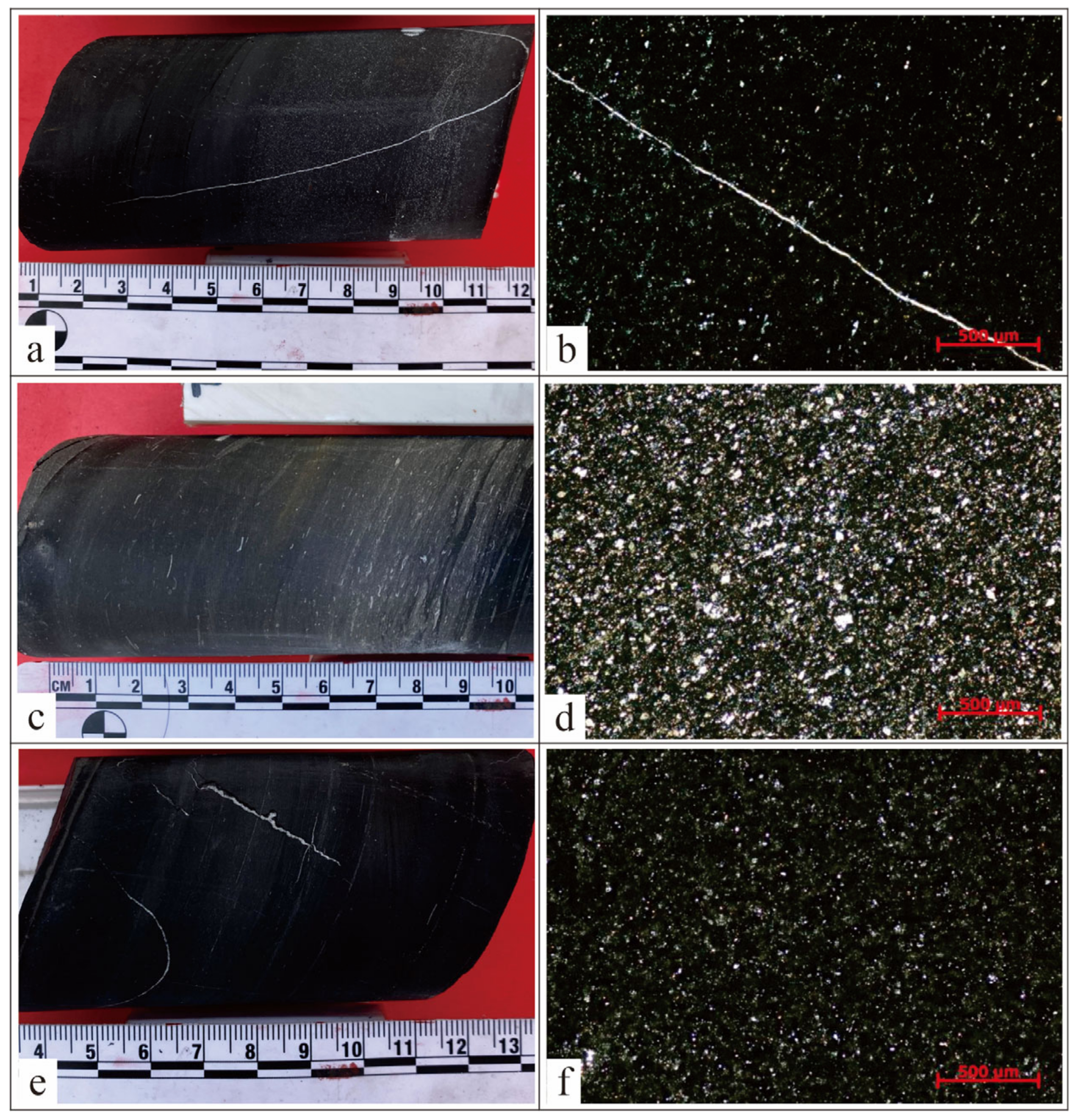 Applsci 13 01434 g005