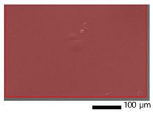 Applsci 13 01550 i001