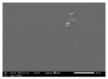 Applsci 13 01550 i002