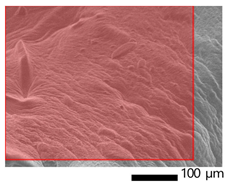 Applsci 13 01550 i004