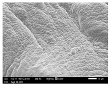 Applsci 13 01550 i005