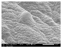 Applsci 13 01550 i006