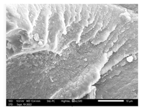 Applsci 13 01550 i009