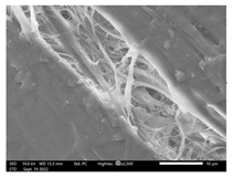 Applsci 13 01550 i012