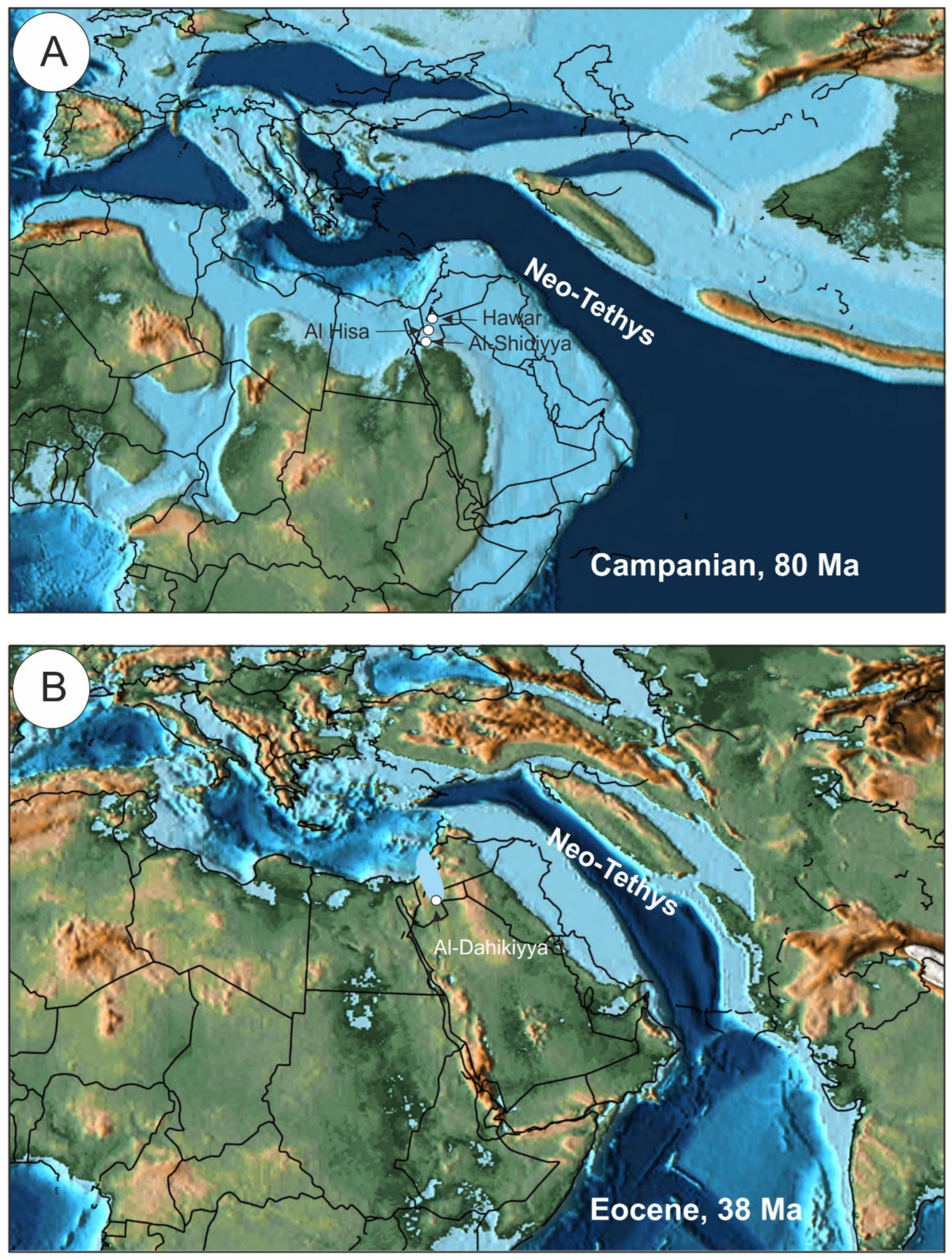 Applsci 13 01568 g001 Applsci 13 01568 g001