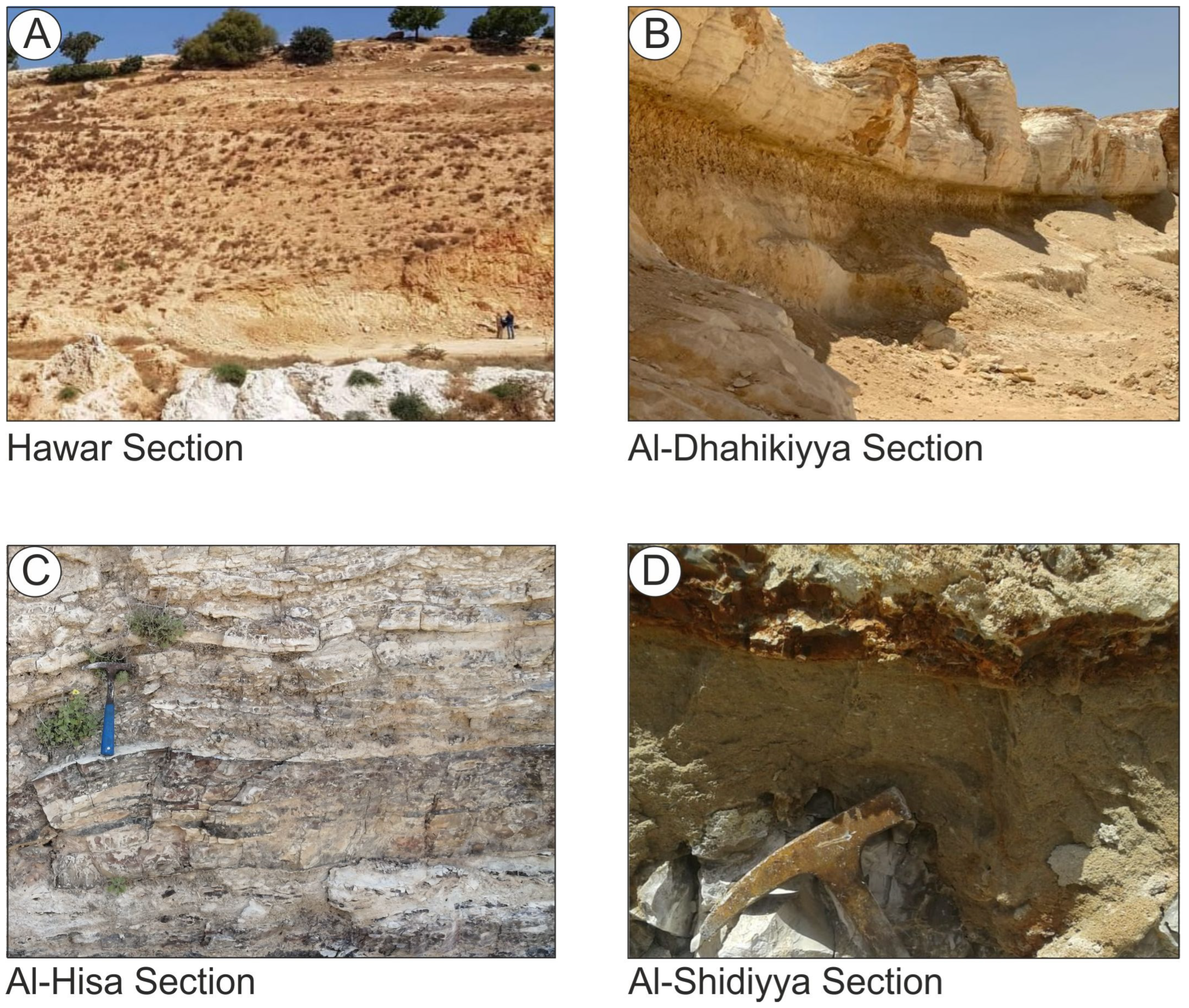 Applsci 13 01568 g002 Applsci 13 01568 g002