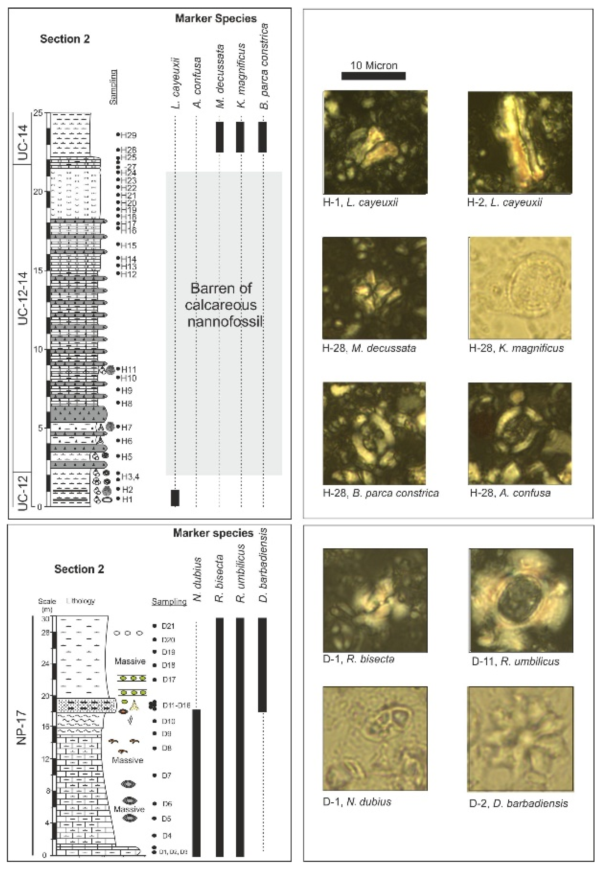 Applsci 13 01568 g004 Applsci 13 01568 g004