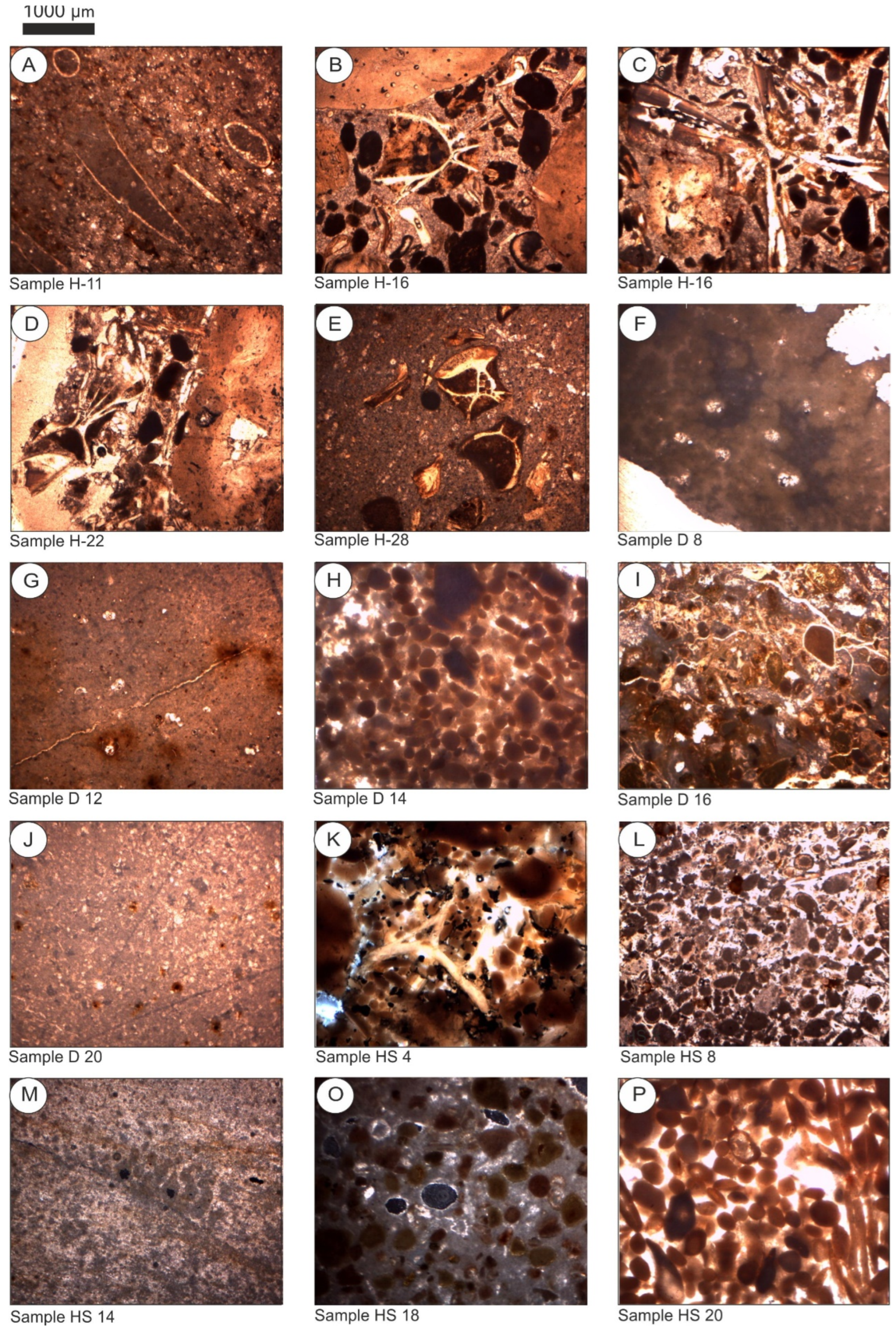 Applsci 13 01568 g005 Applsci 13 01568 g005