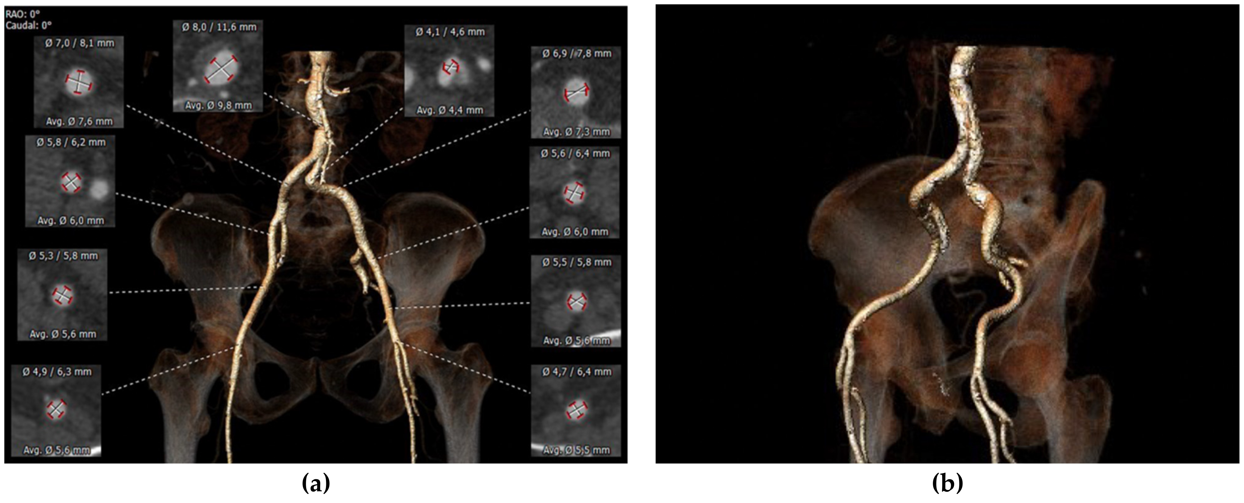 Applsci 13 01589 g002