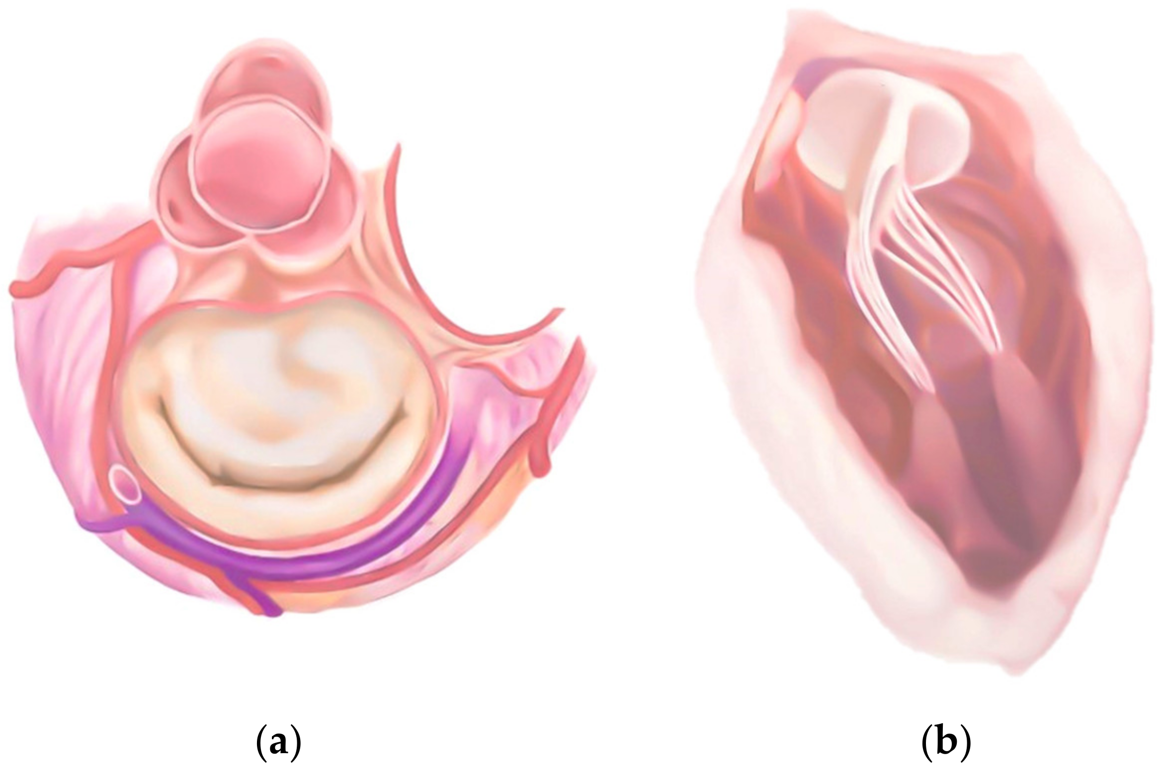 Applsci 13 01589 g009