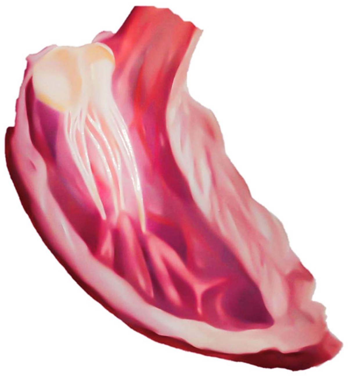 Applsci 13 01589 g010