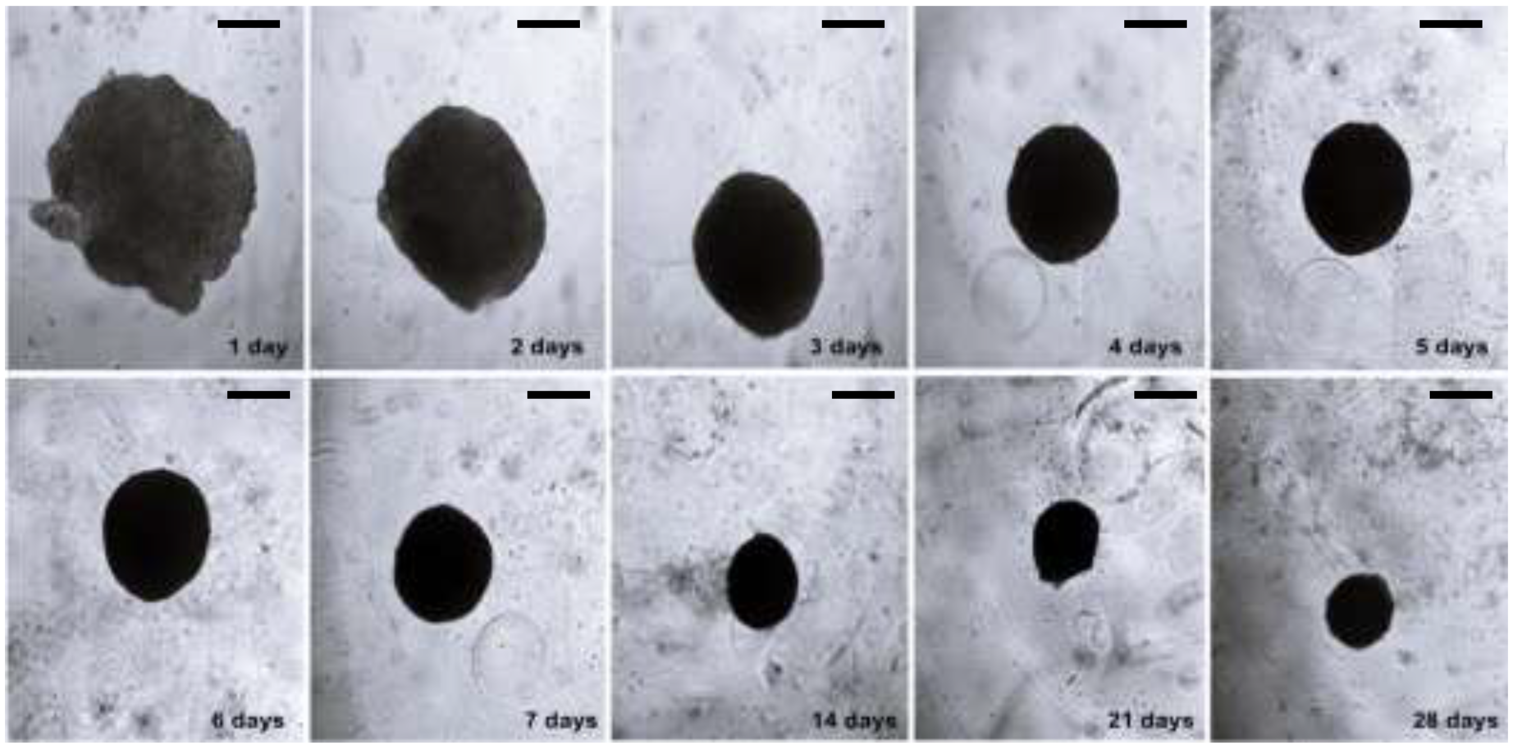 Applsci 13 01602 g001