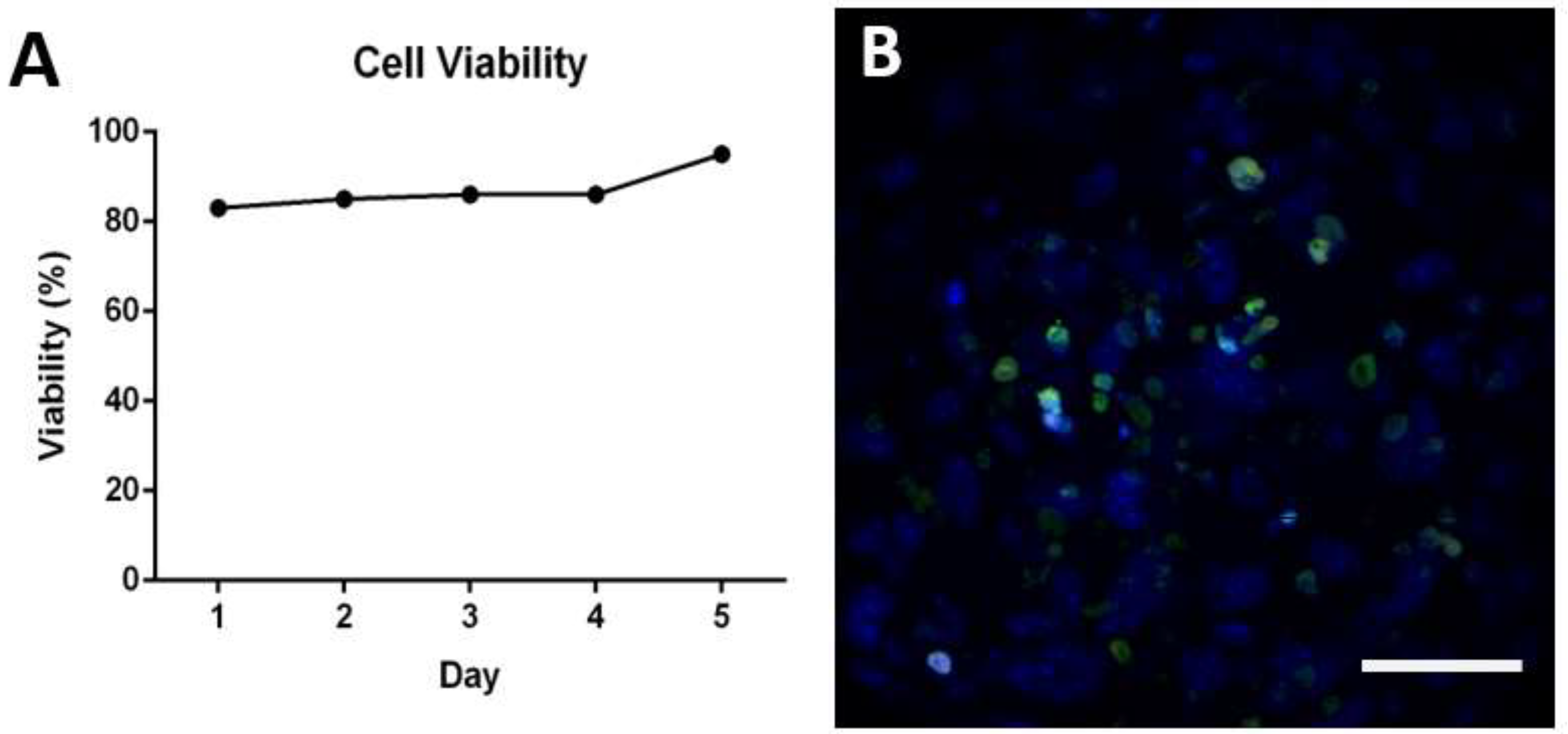 Applsci 13 01602 g002