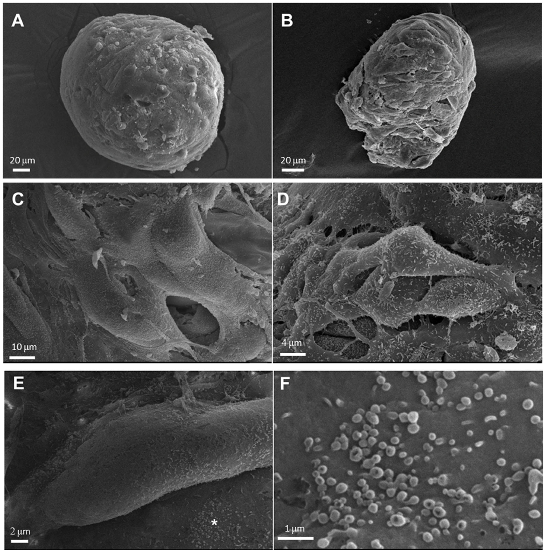 Applsci 13 01602 g003