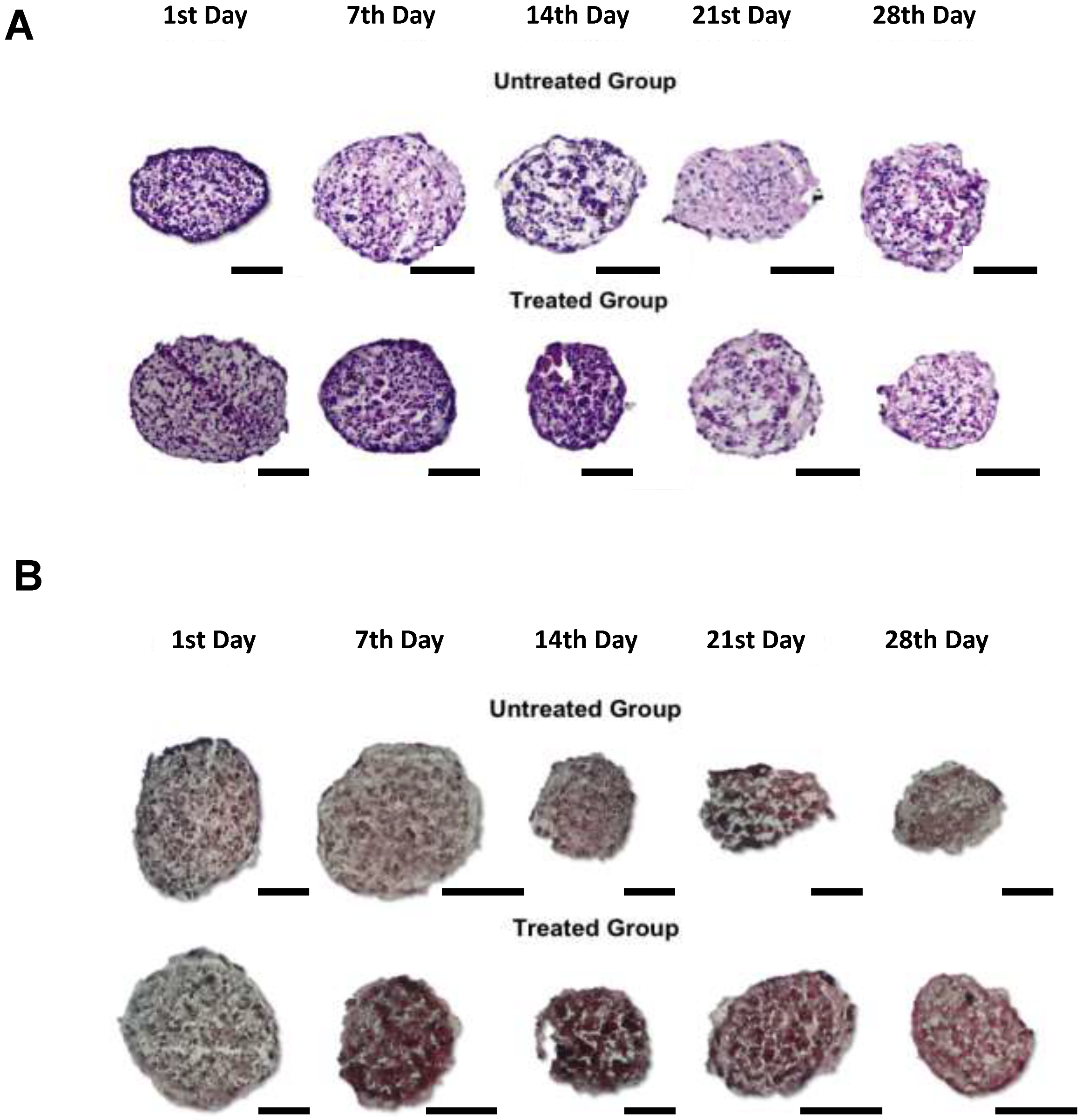 Applsci 13 01602 g004