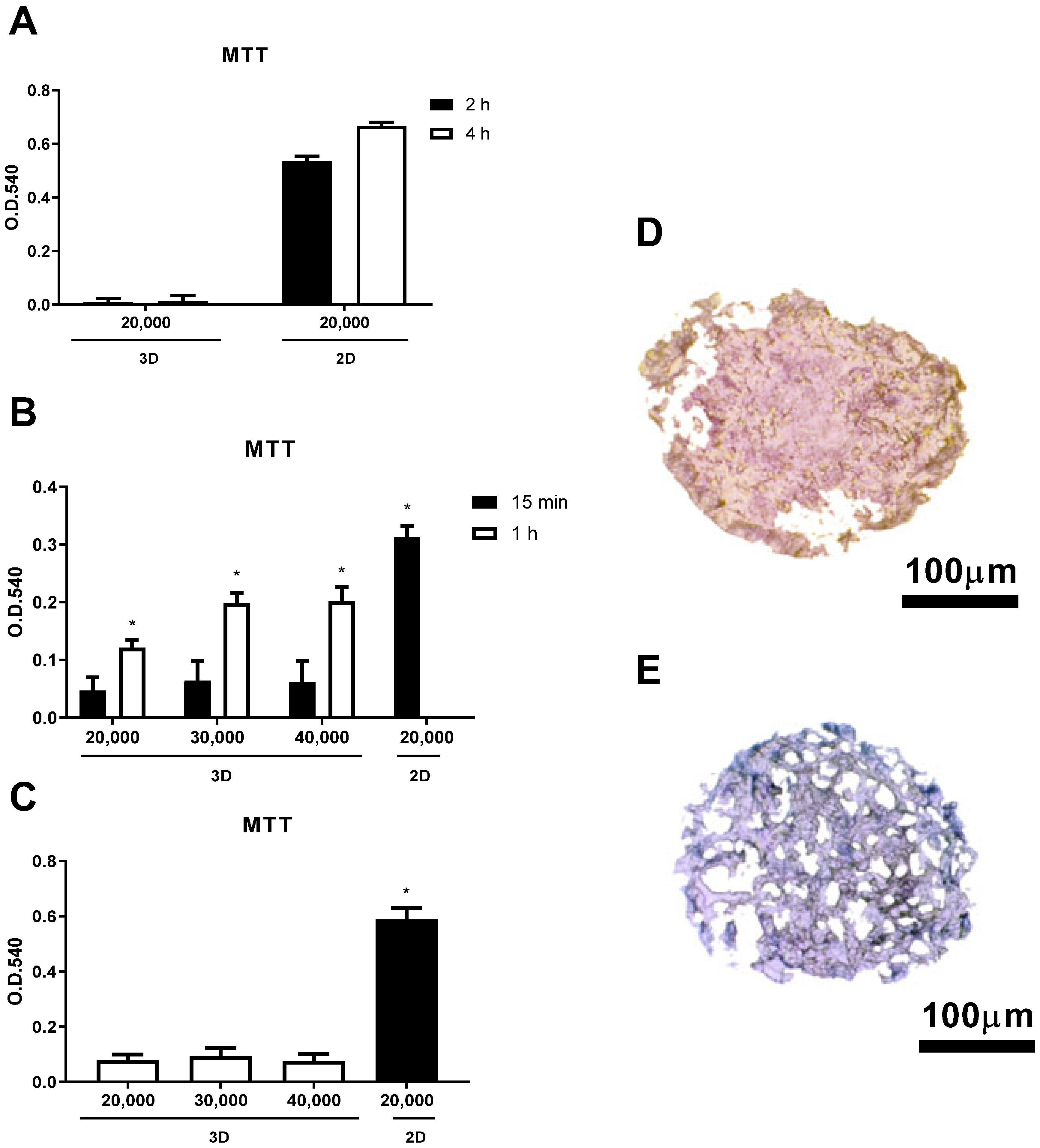 Applsci 13 01602 g005
