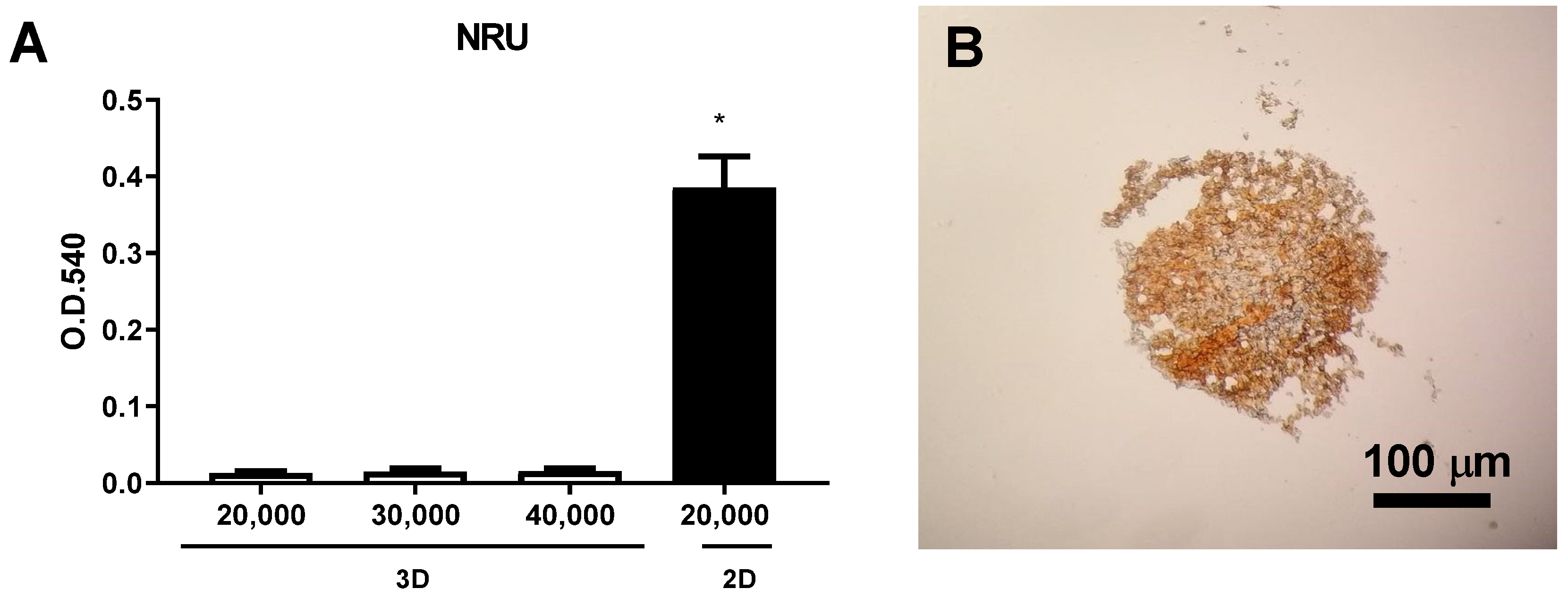Applsci 13 01602 g007