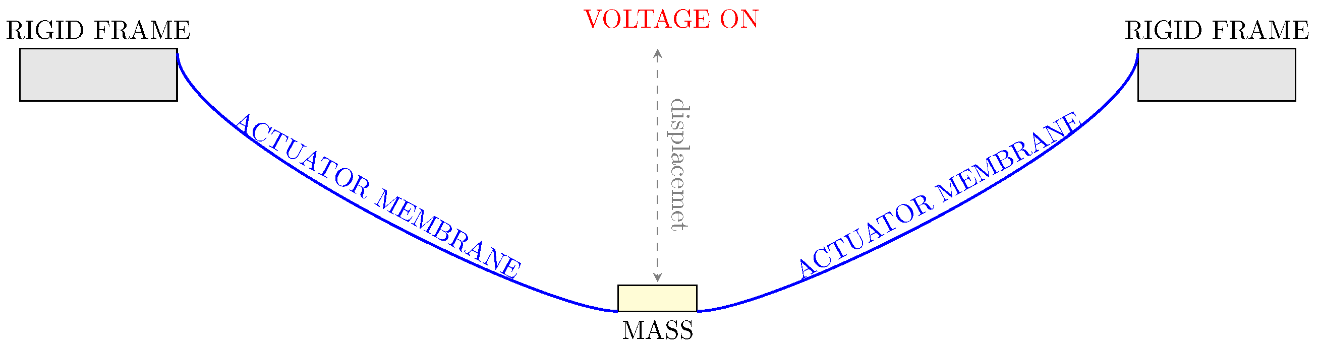 Applsci 13 01651 g006