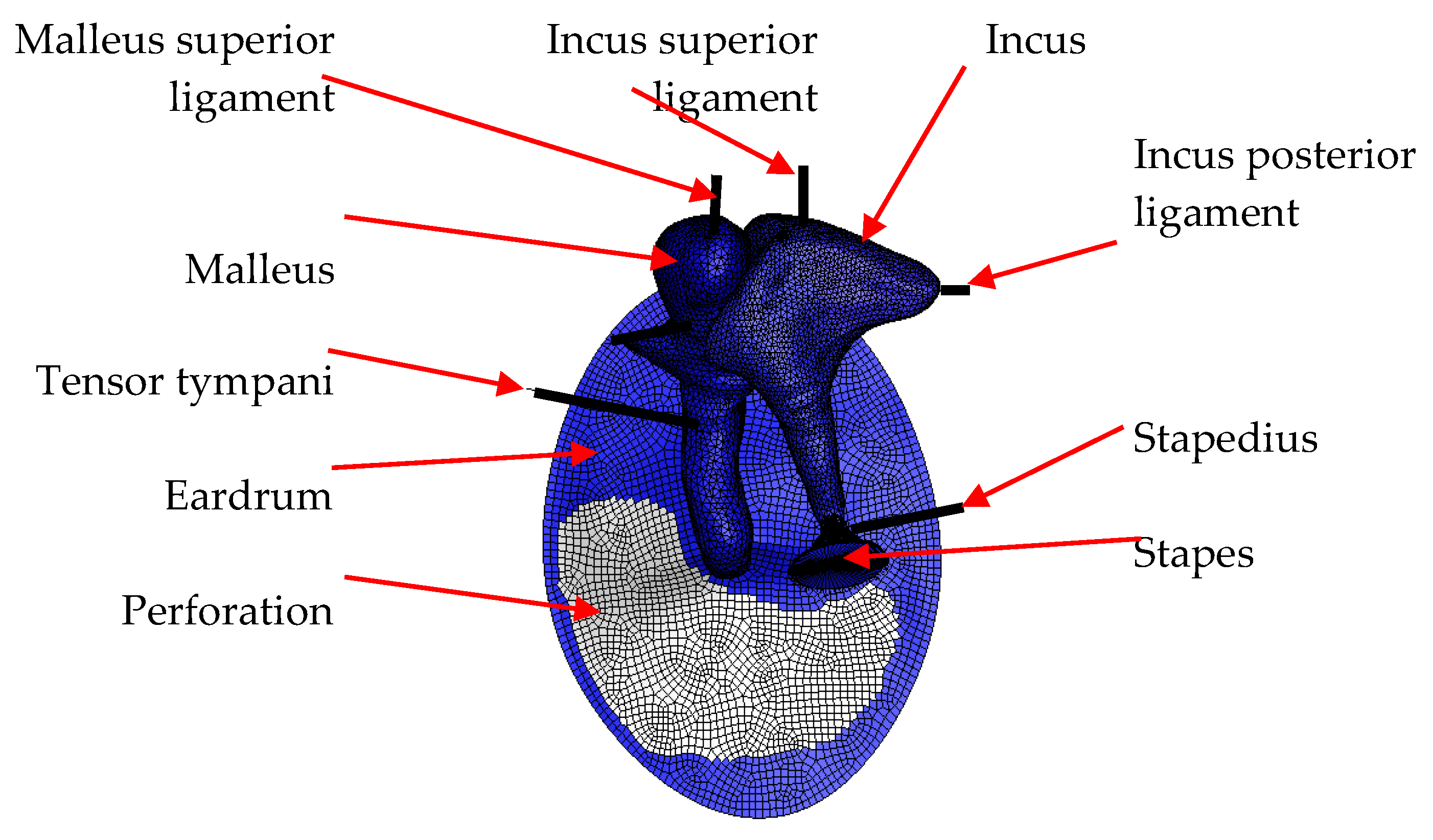 Applsci 13 01665 g001