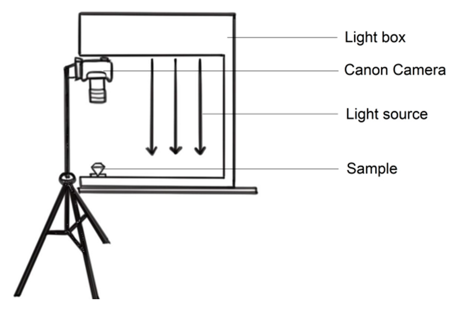 Applsci 13 01673 g003