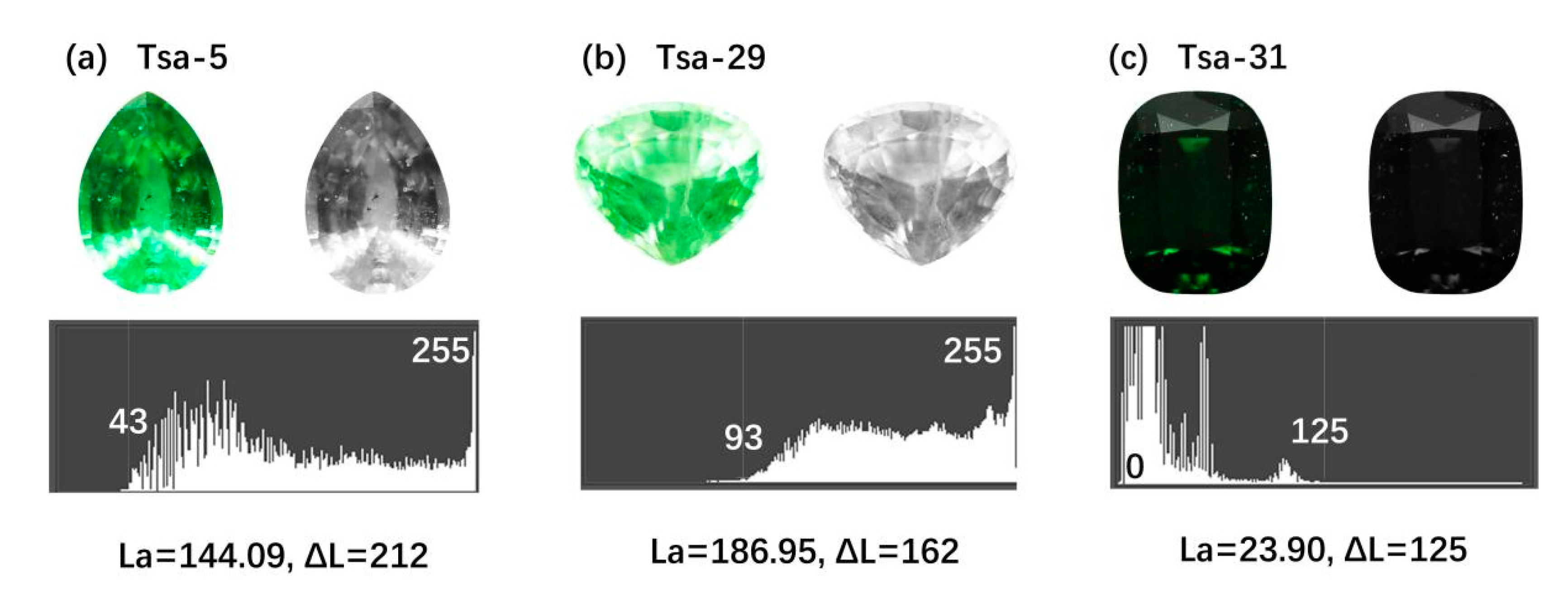 Applsci 13 01673 g013