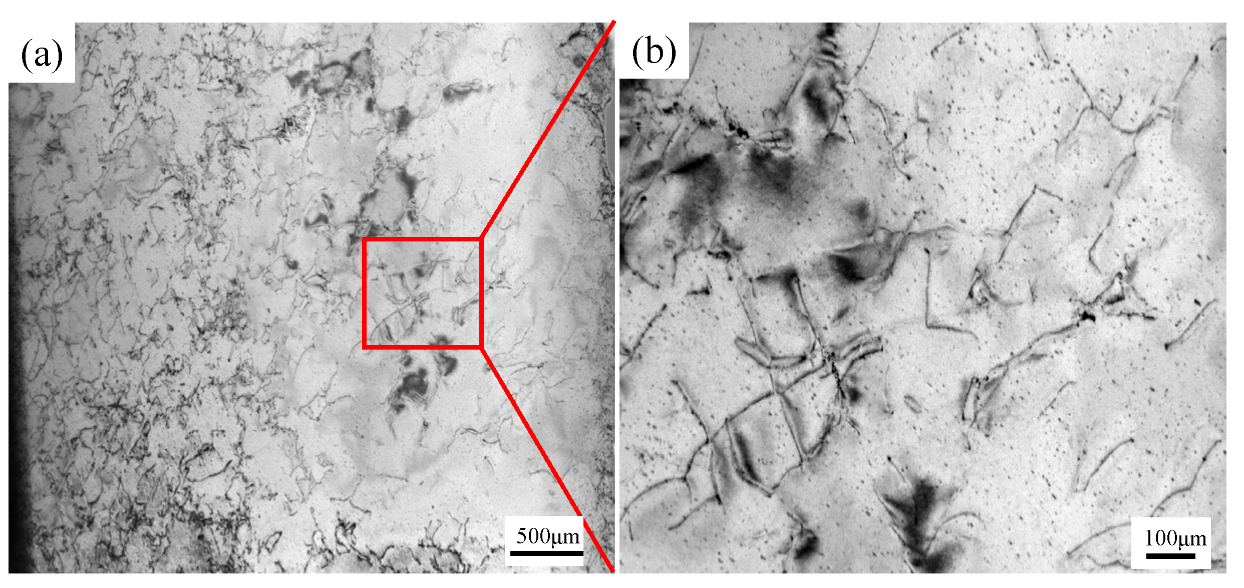 Applsci 13 01684 g004