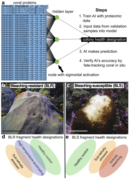 Applsci 13 01718 g002