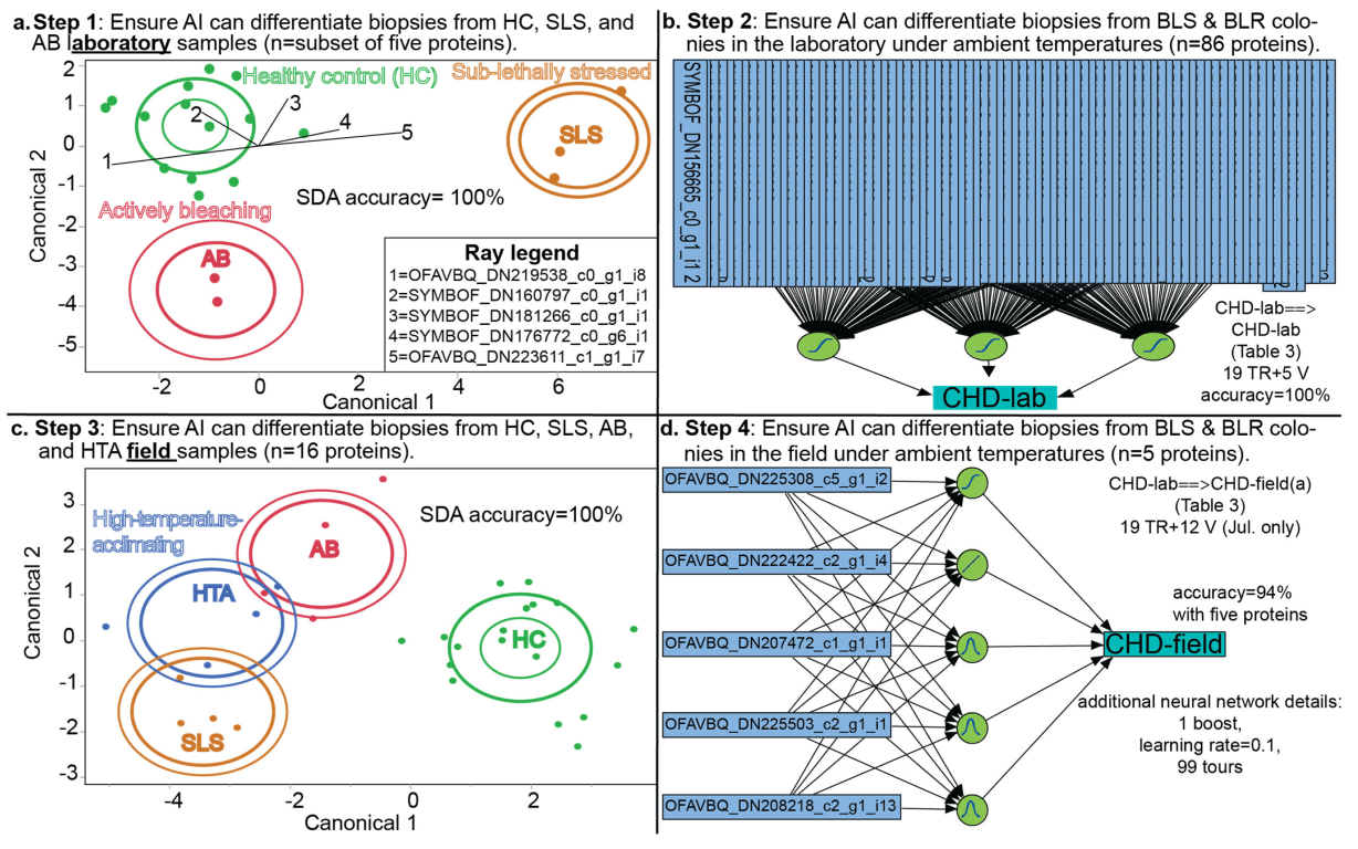 Applsci 13 01718 g004