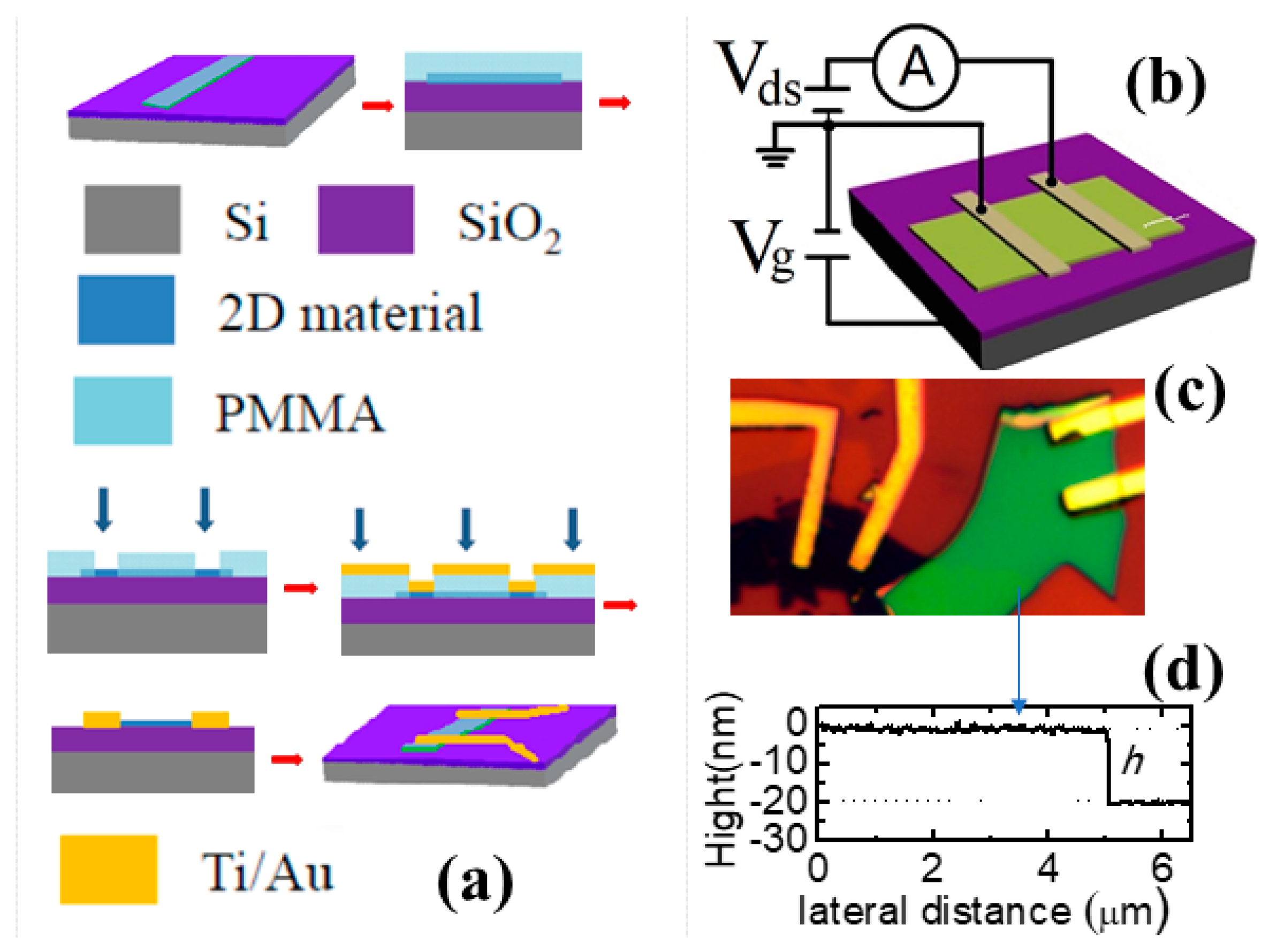Applsci 13 01736 g001