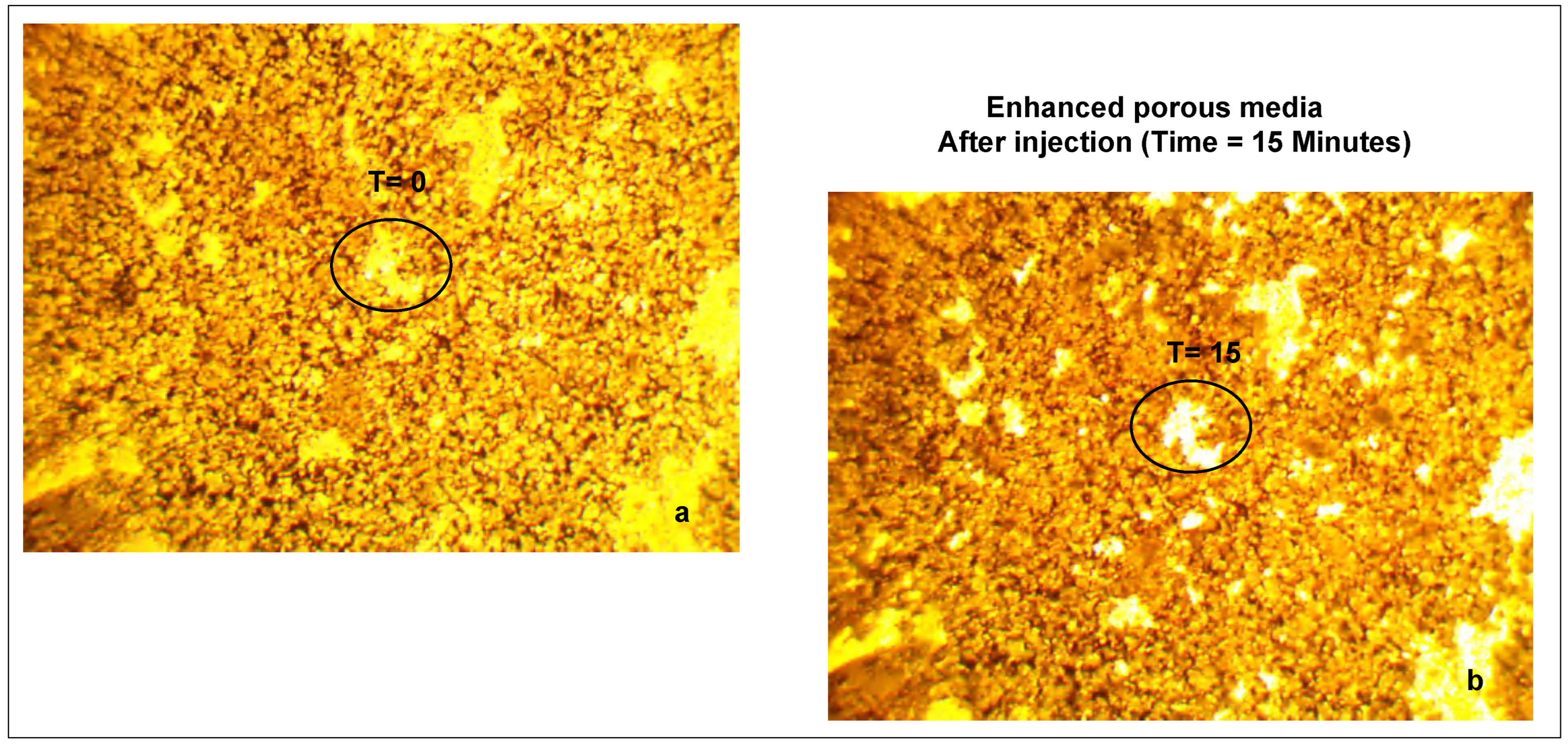 Applsci 13 01752 g006