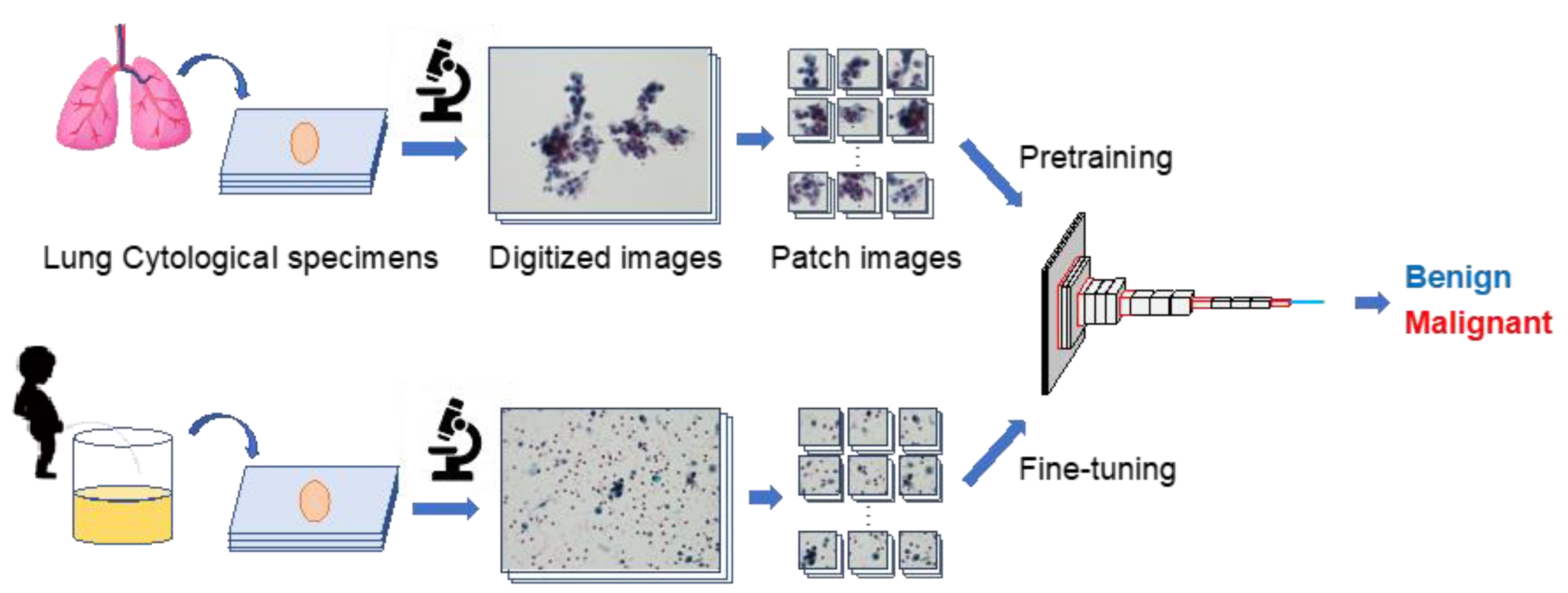 Applsci 13 01763 g001 Applsci 13 01763 g001