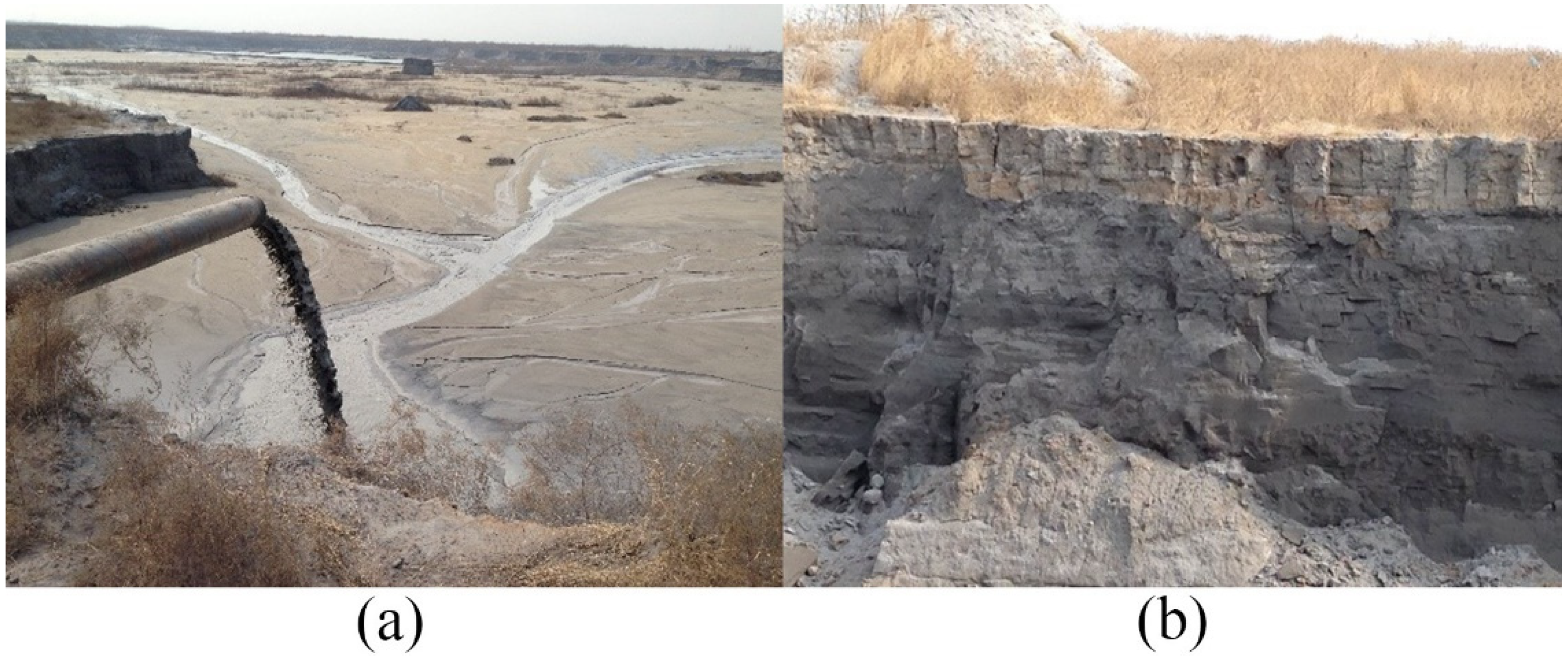 Applsci 13 01768 g001