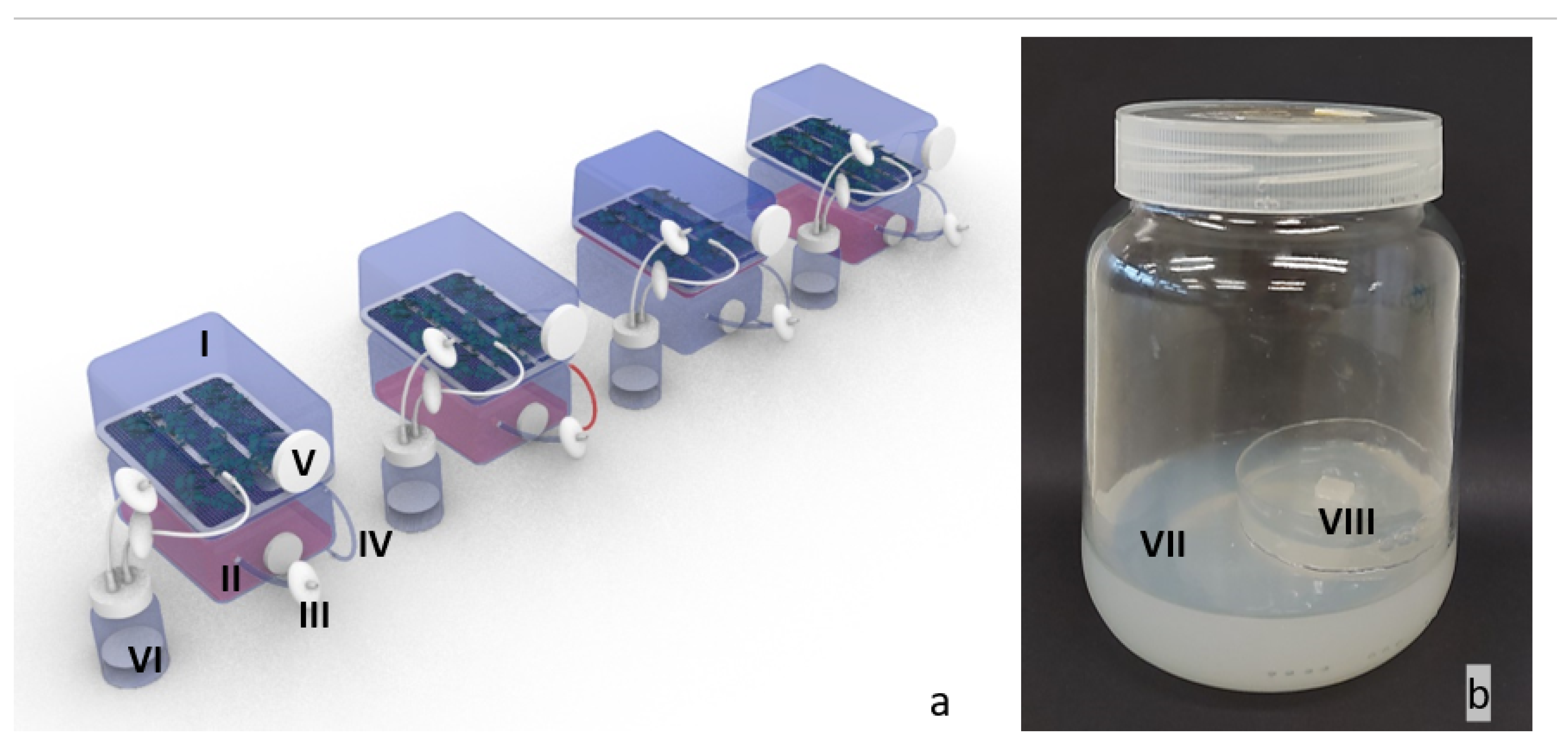 Applsci 13 01776 g001