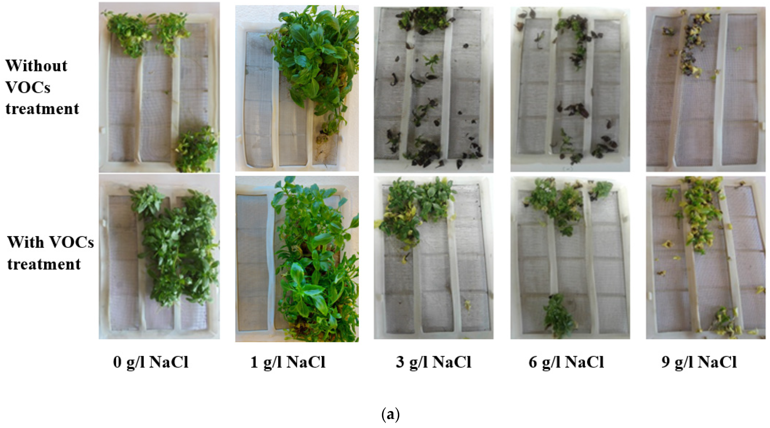 Applsci 13 01776 g003a